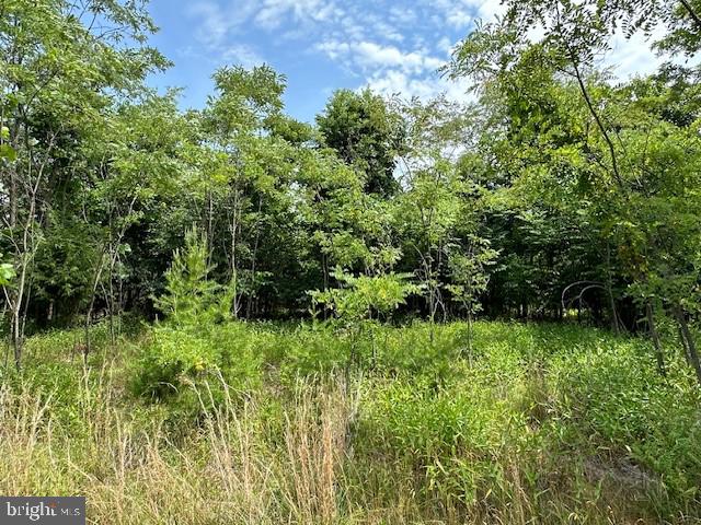 BLUFFS OF THE POTOMAC - Land
