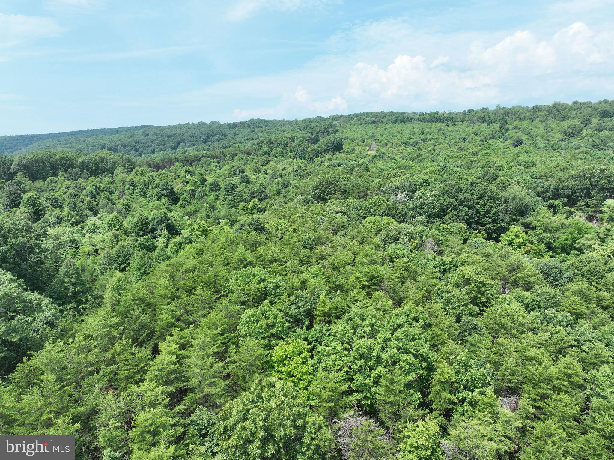 BLUFFS OF THE POTOMAC - Land