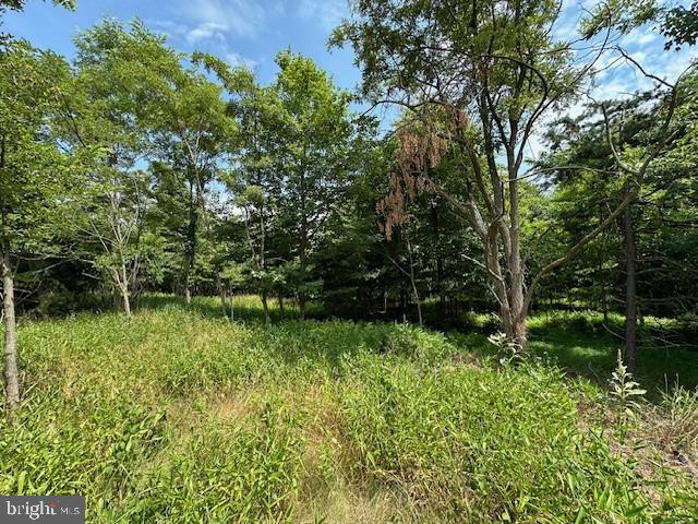 BLUFFS OF THE POTOMAC - Land