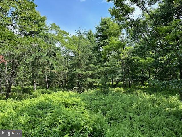 BLUFFS OF THE POTOMAC - Land