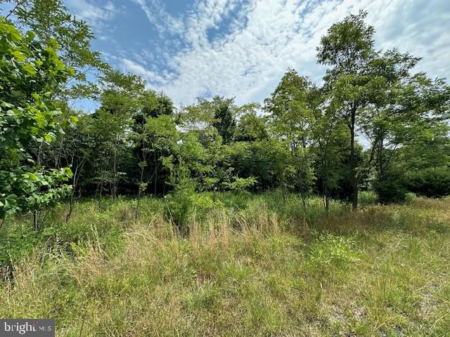 BLUFFS OF THE POTOMAC - Land