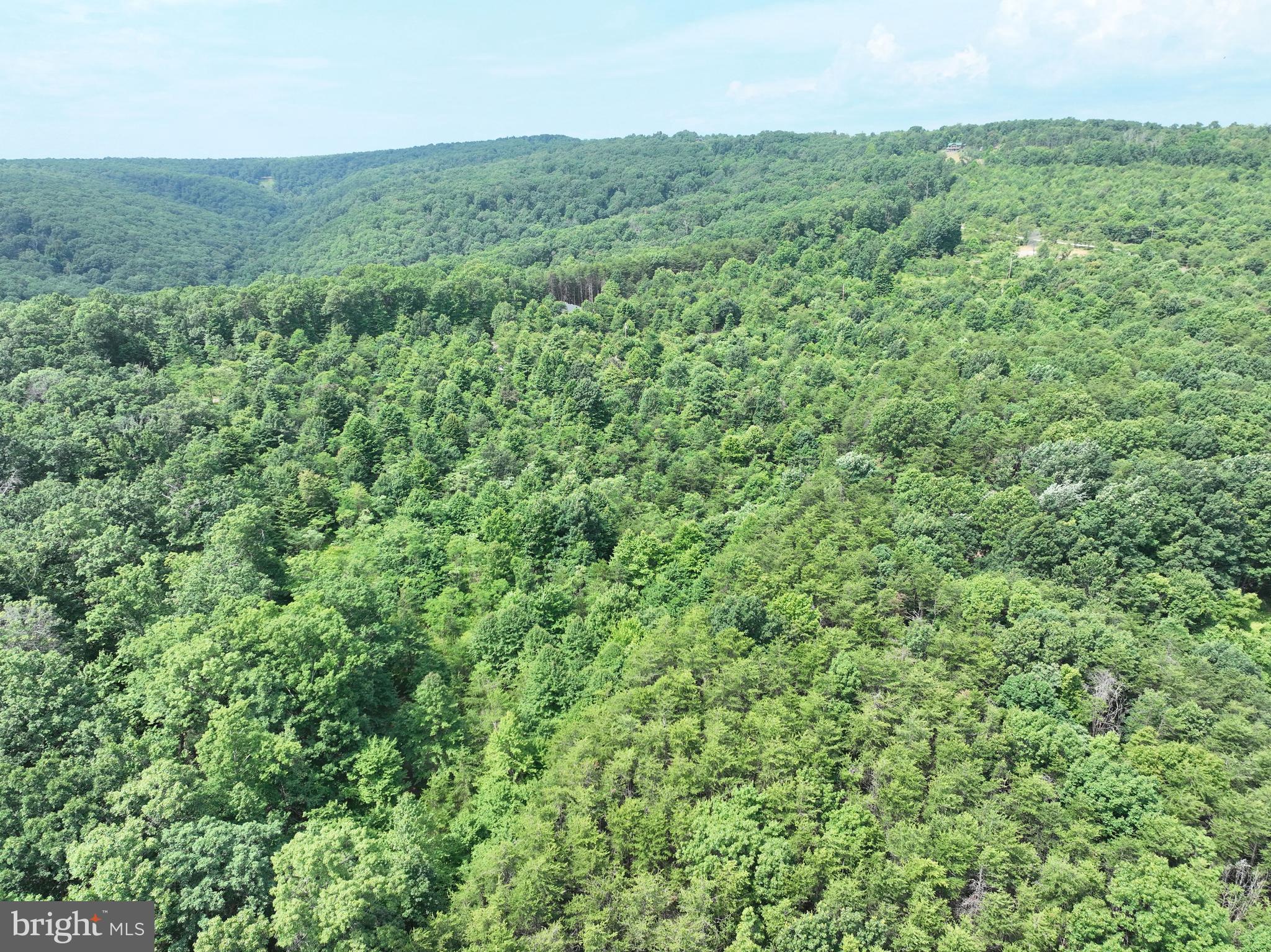 BLUFFS OF THE POTOMAC - Land