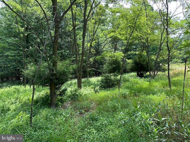 BLUFFS OF THE POTOMAC - Land