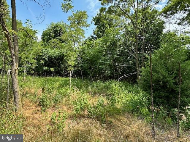 BLUFFS OF THE POTOMAC - Land