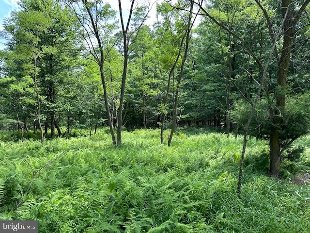 BLUFFS OF THE POTOMAC - Land