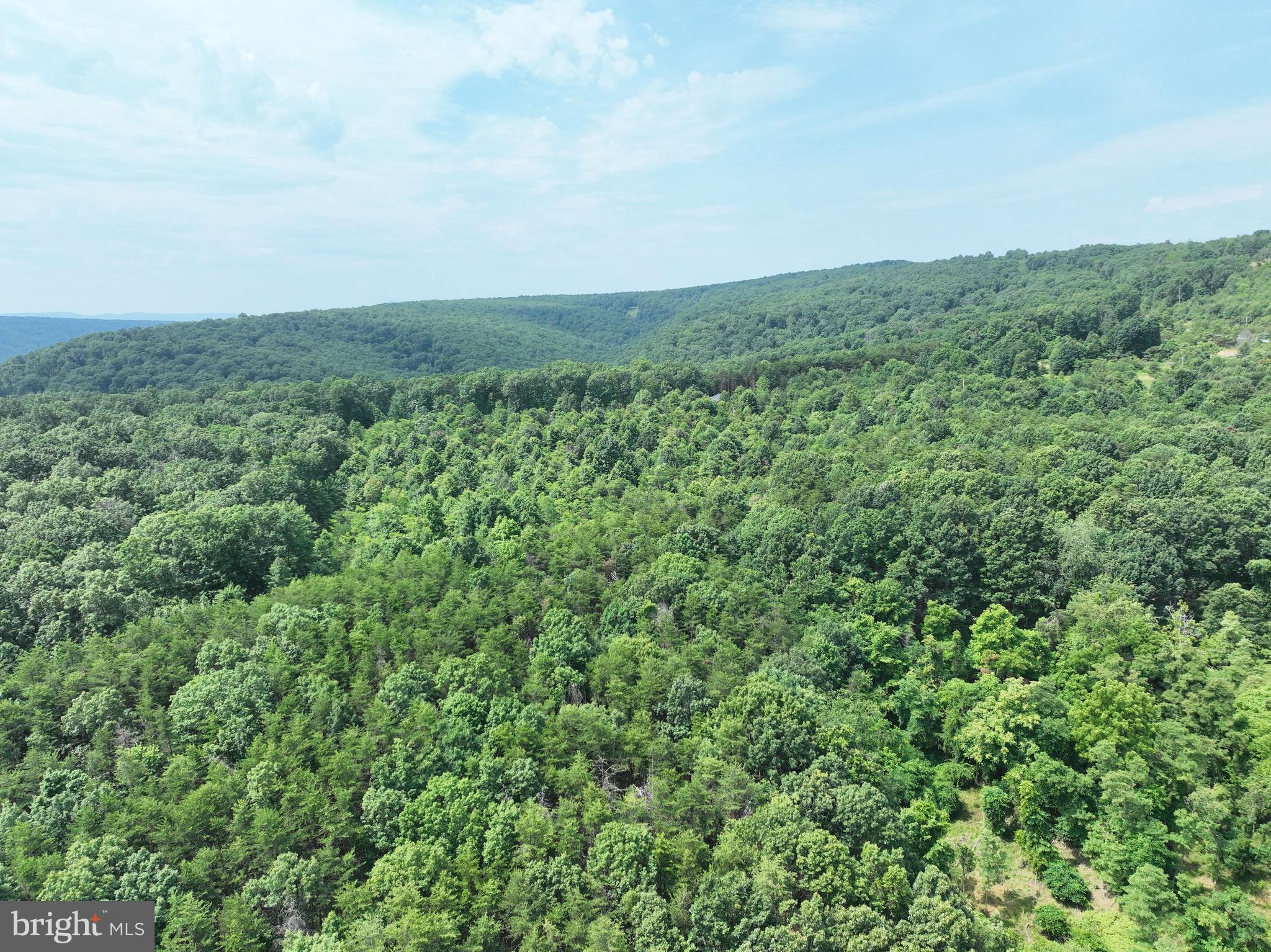BLUFFS OF THE POTOMAC - Land