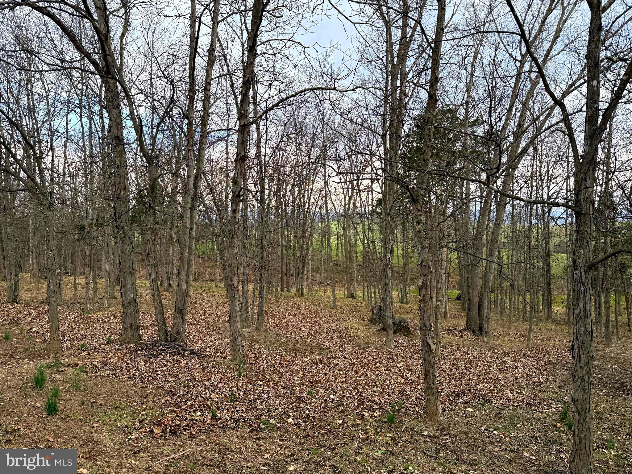 GRAND VIEW ESTATES - Residential