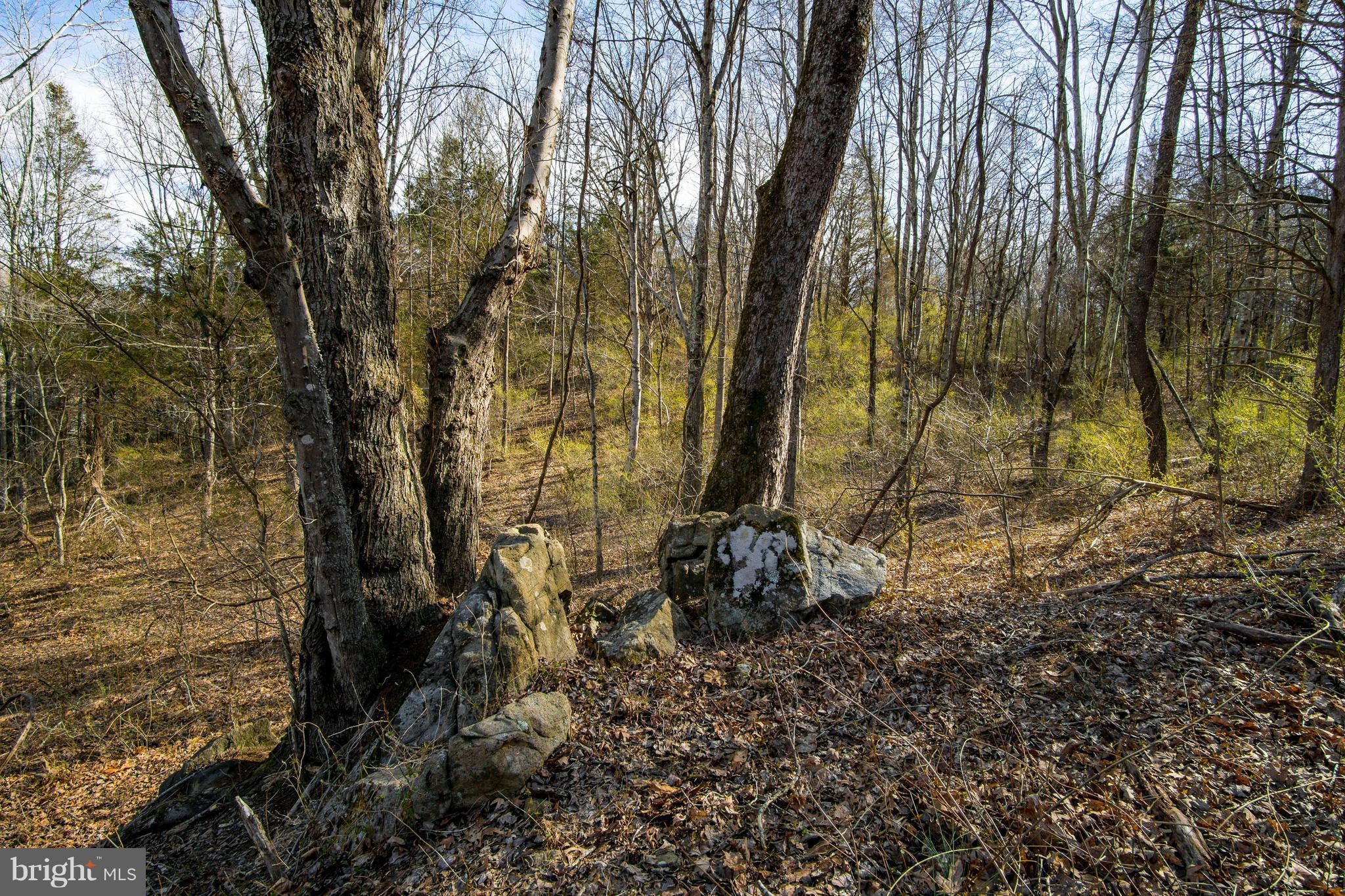 NONE AVAILABLE - Land