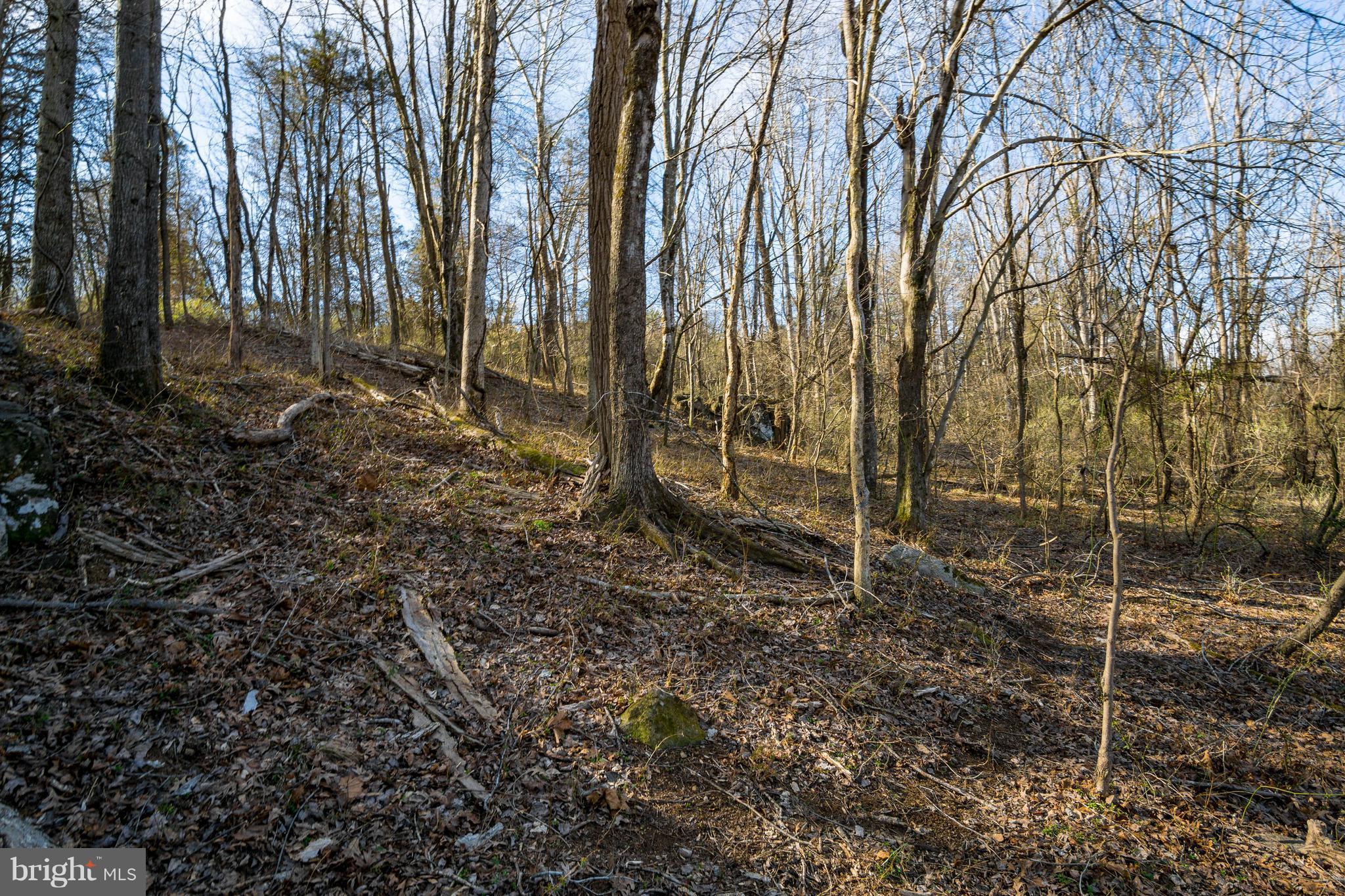 NONE AVAILABLE - Land