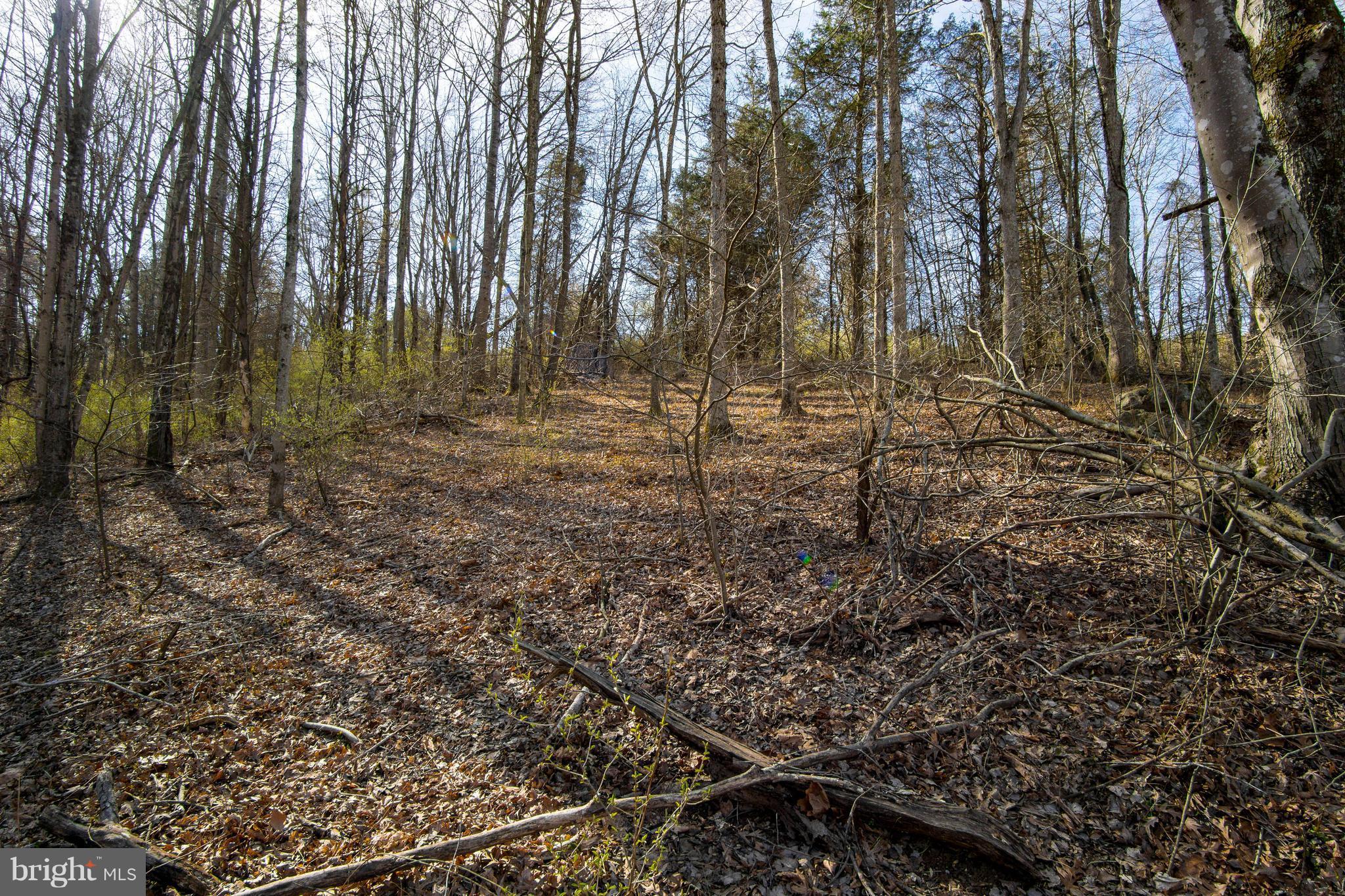 NONE AVAILABLE - Land