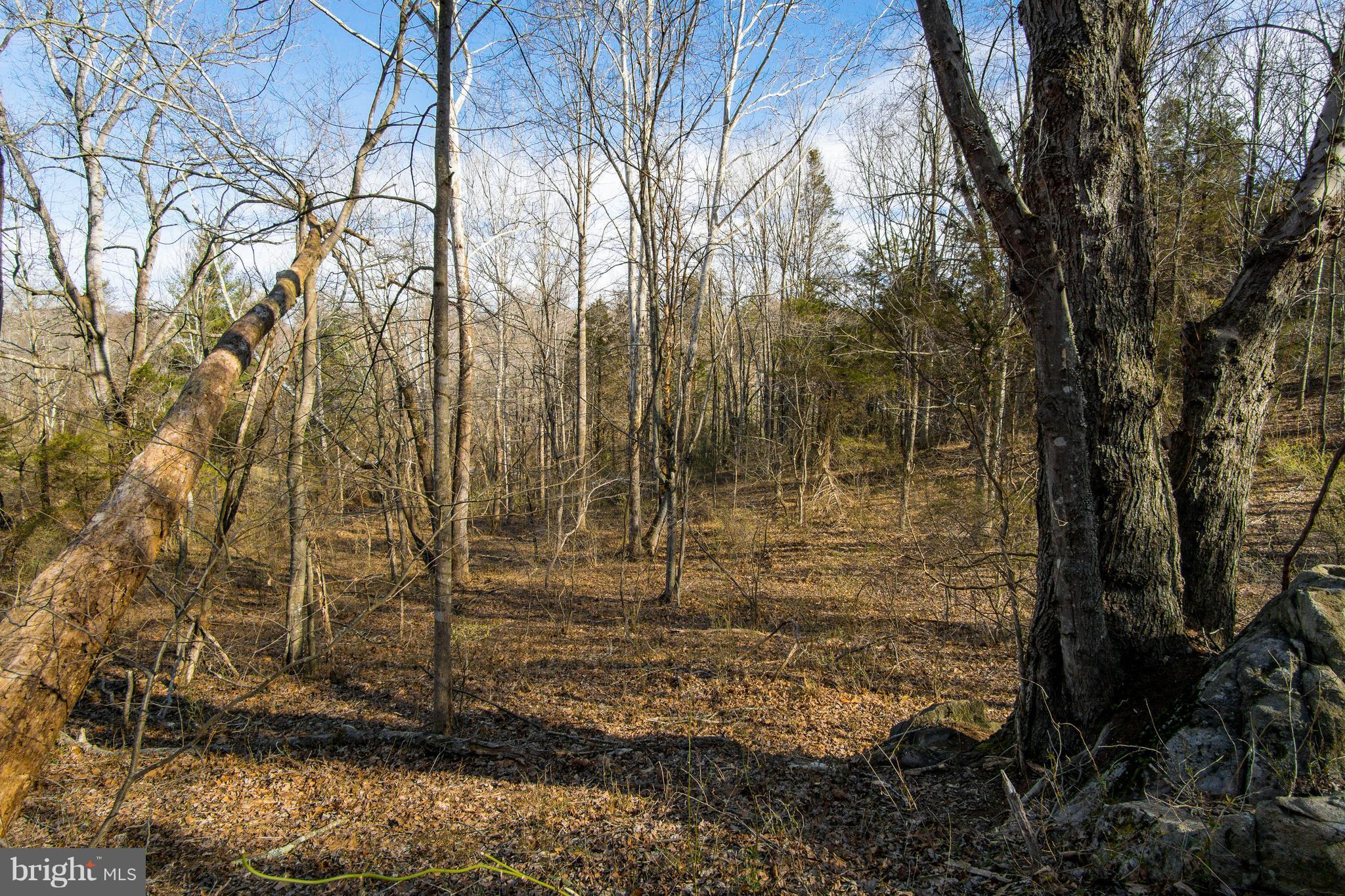 NONE AVAILABLE - Land