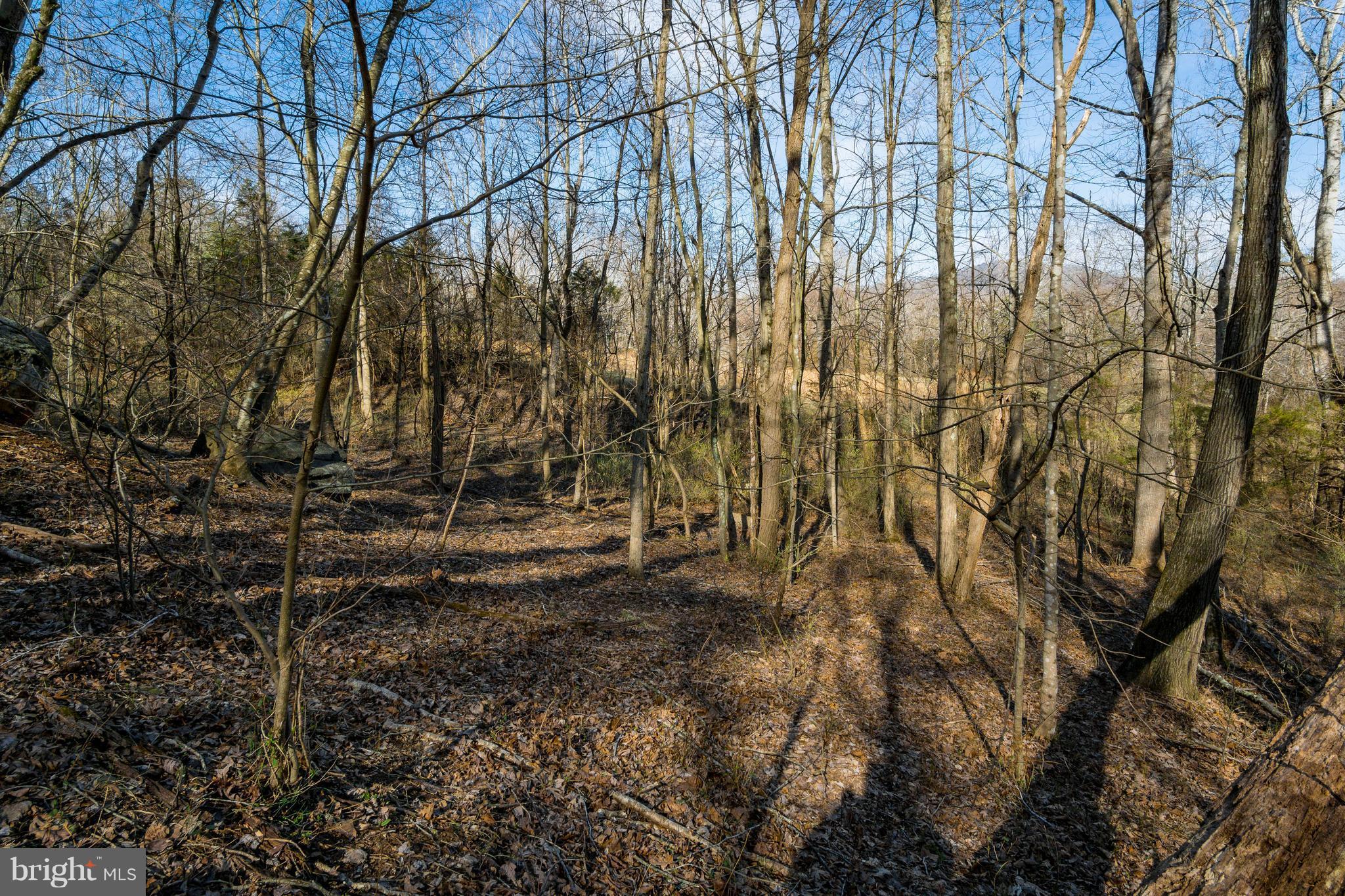 NONE AVAILABLE - Land