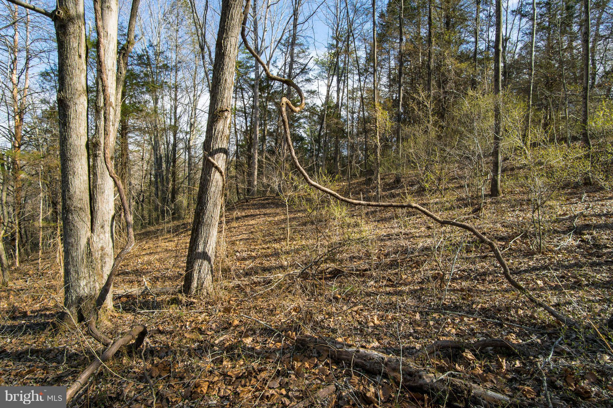 NONE AVAILABLE - Land