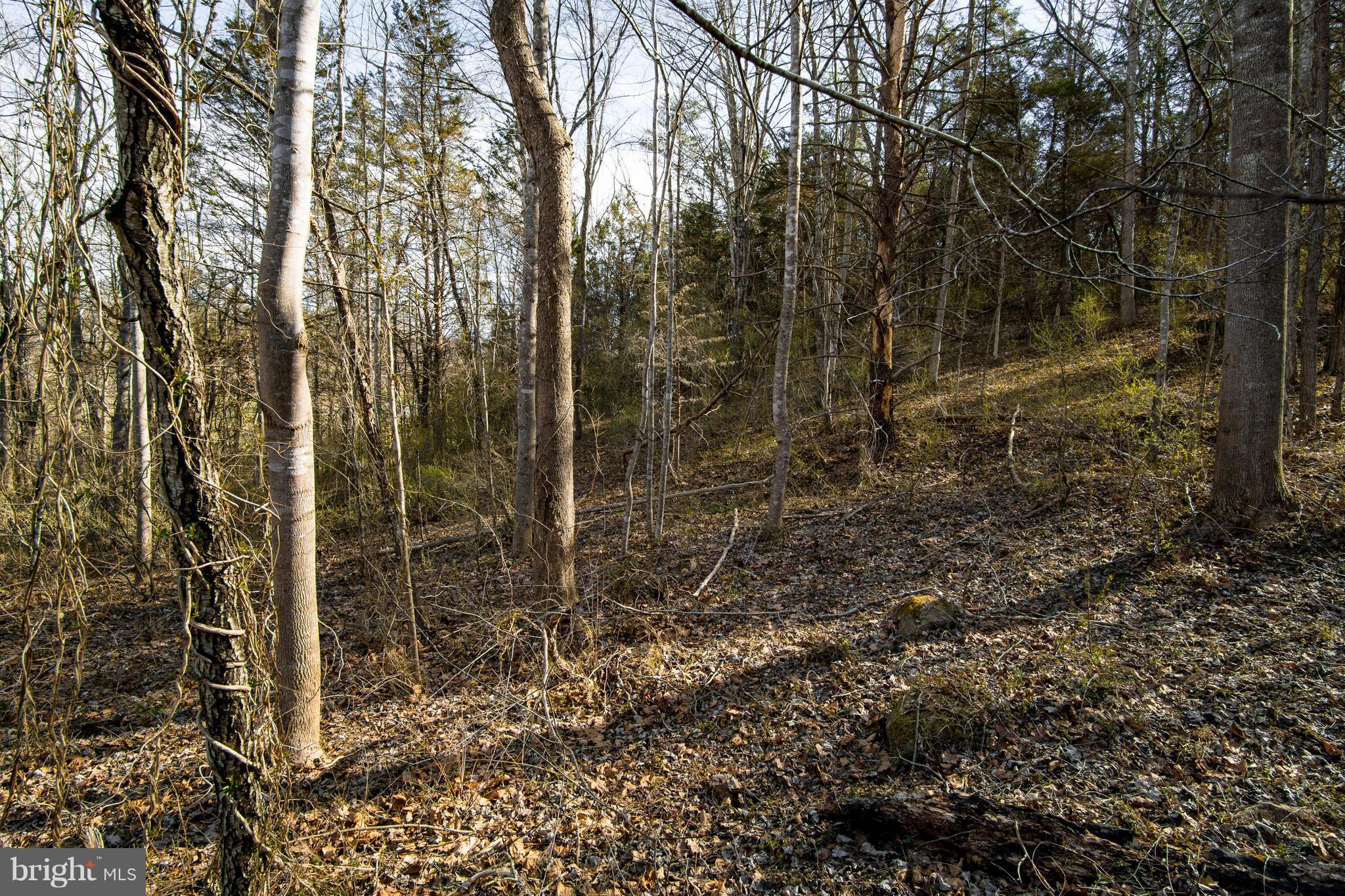 NONE AVAILABLE - Land