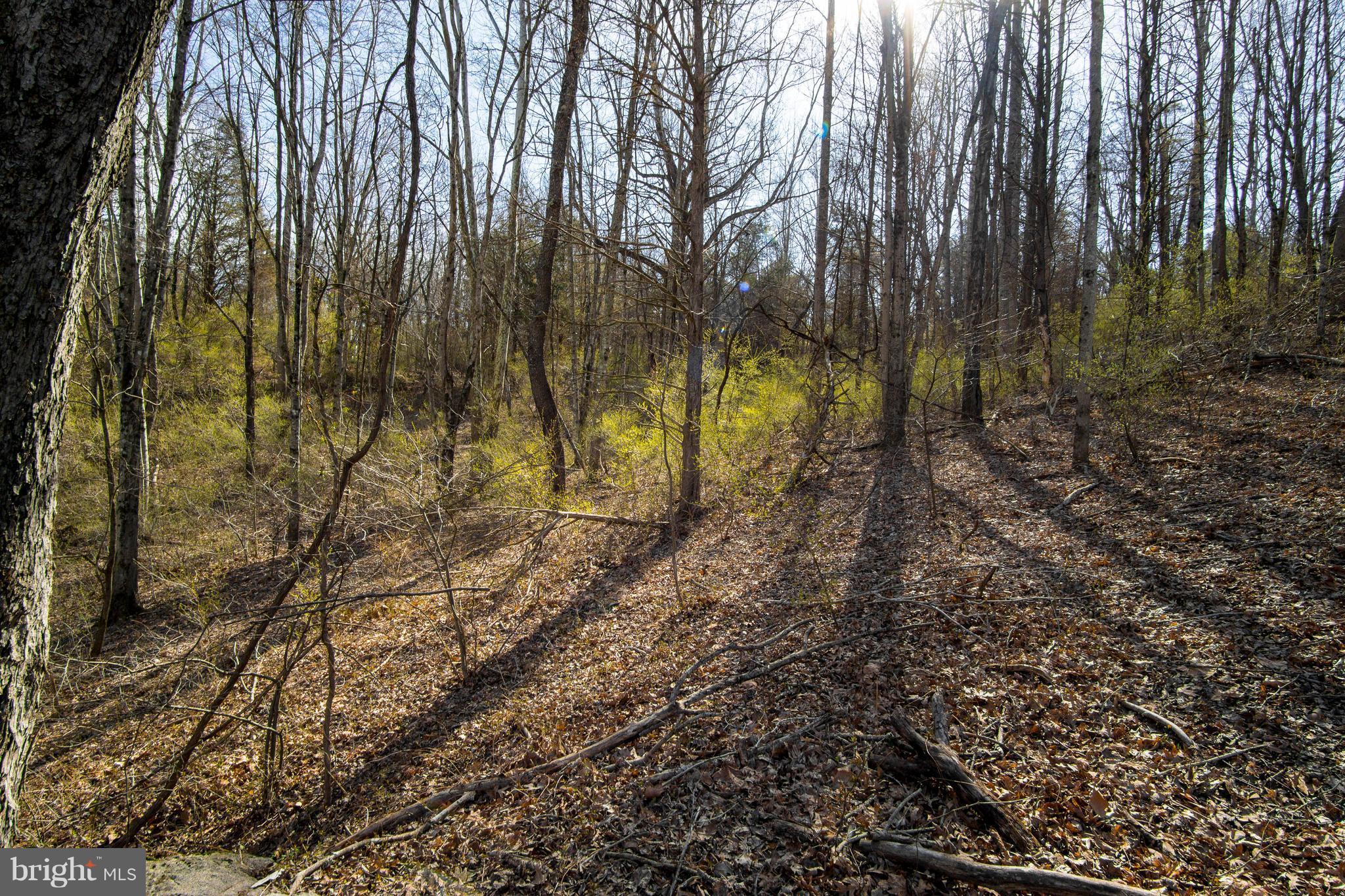 NONE AVAILABLE - Land