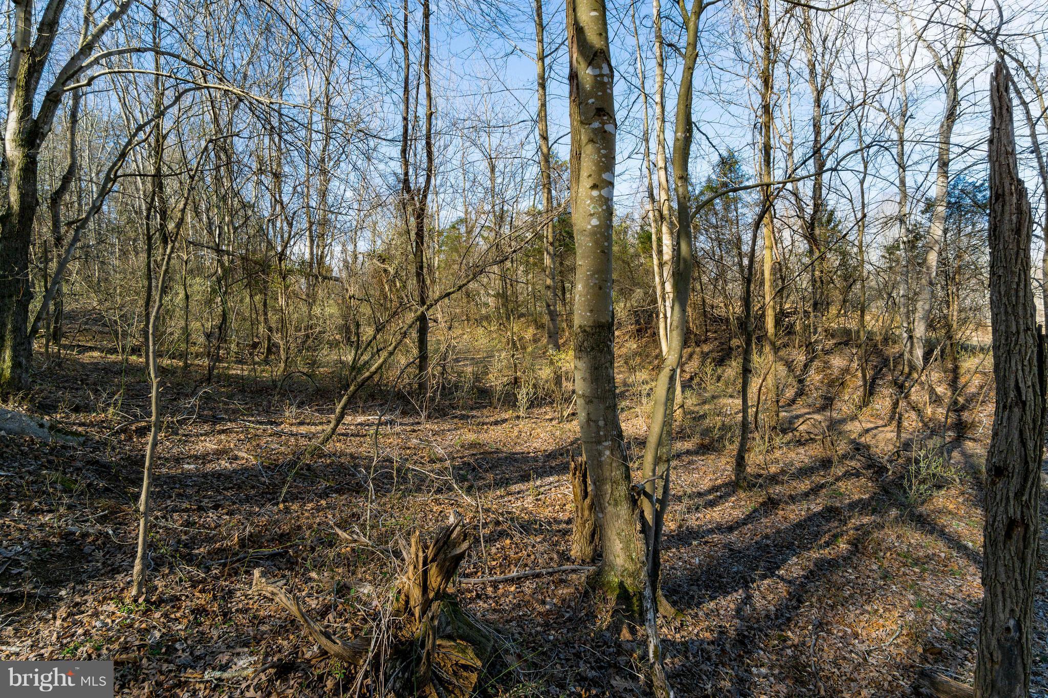 NONE AVAILABLE - Land