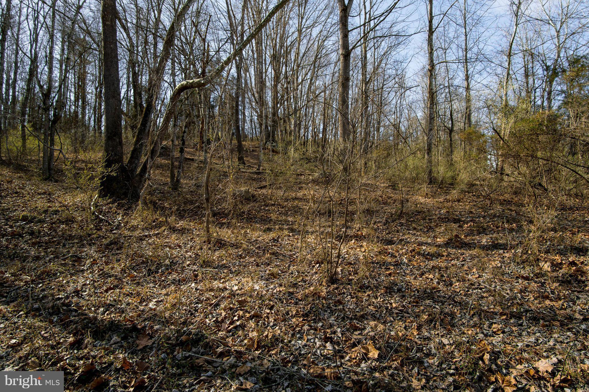 NONE AVAILABLE - Land