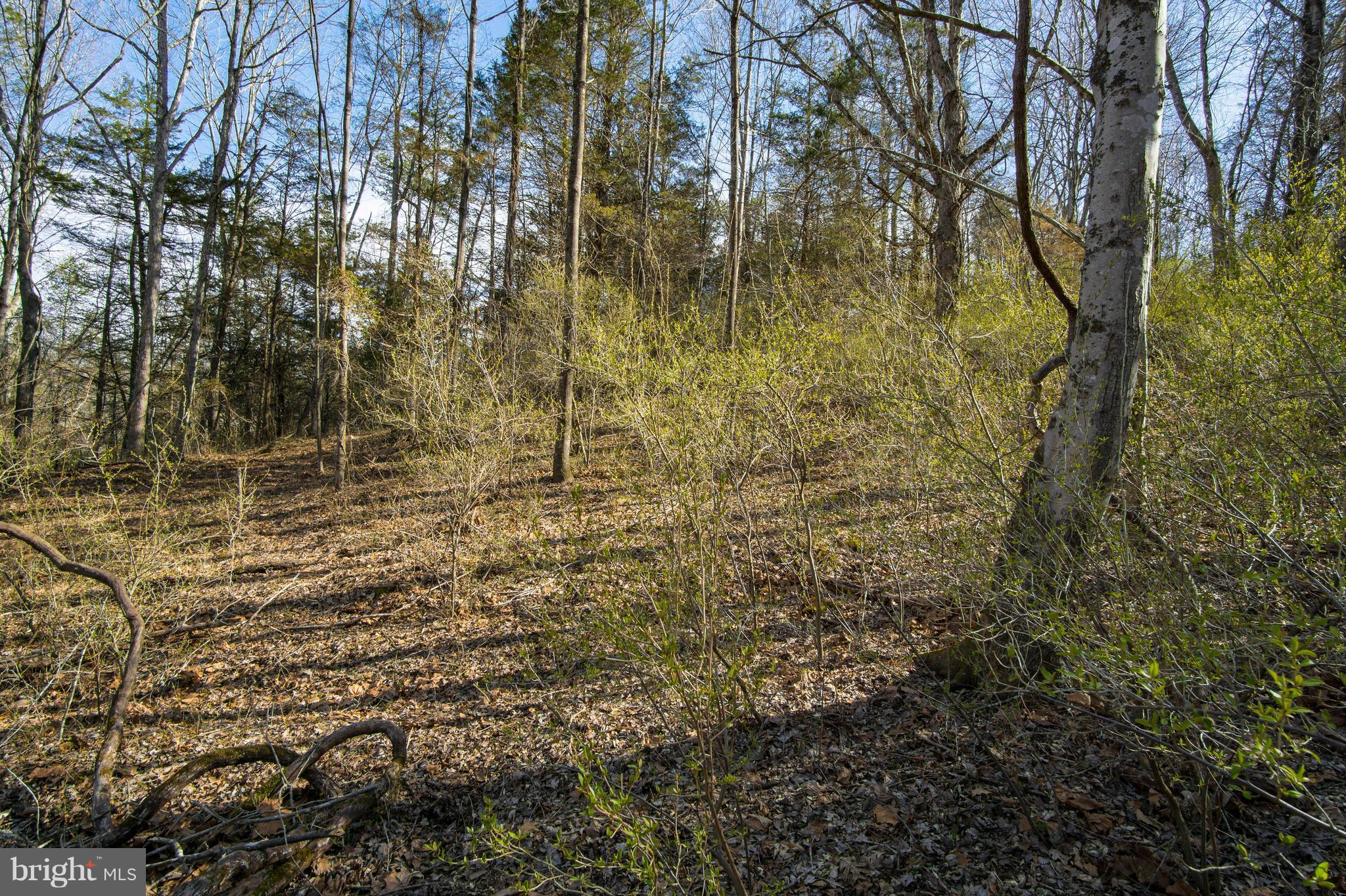 NONE AVAILABLE - Land