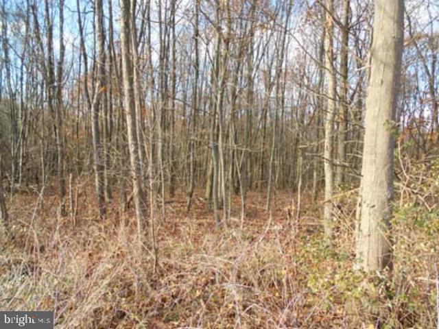 Beautiful level wooded lots approved for standard septic systems. Great rural setting. in time for spring building season!