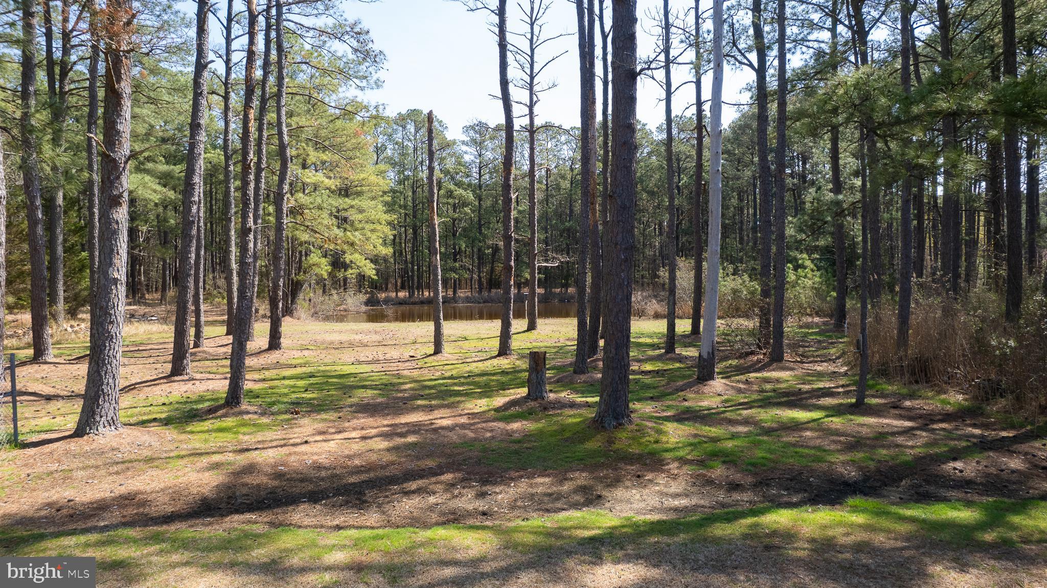 SEAWILDE-TOWNPOINT - Residential