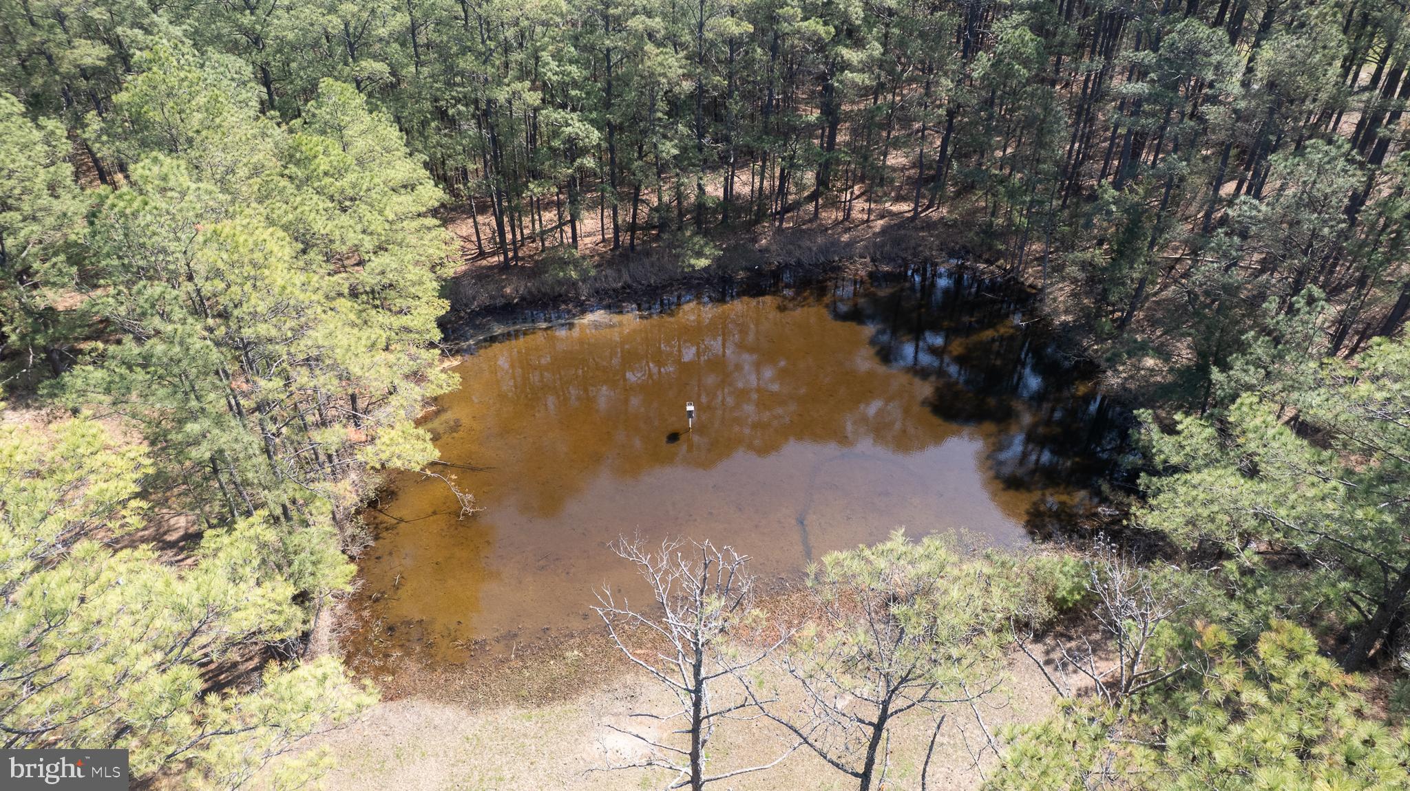SEAWILDE-TOWNPOINT - Residential