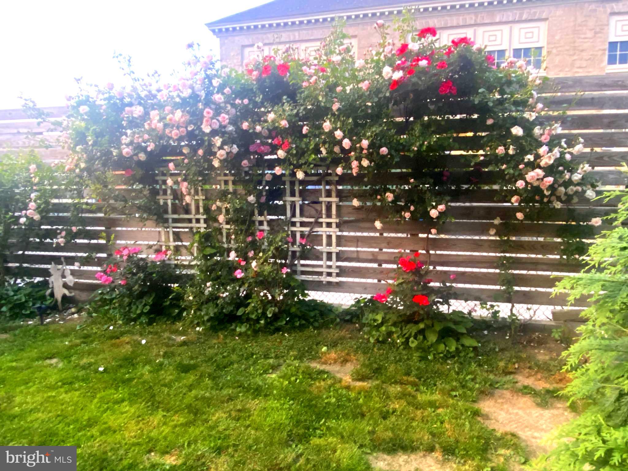 SUMMIT RIDGE - Residential