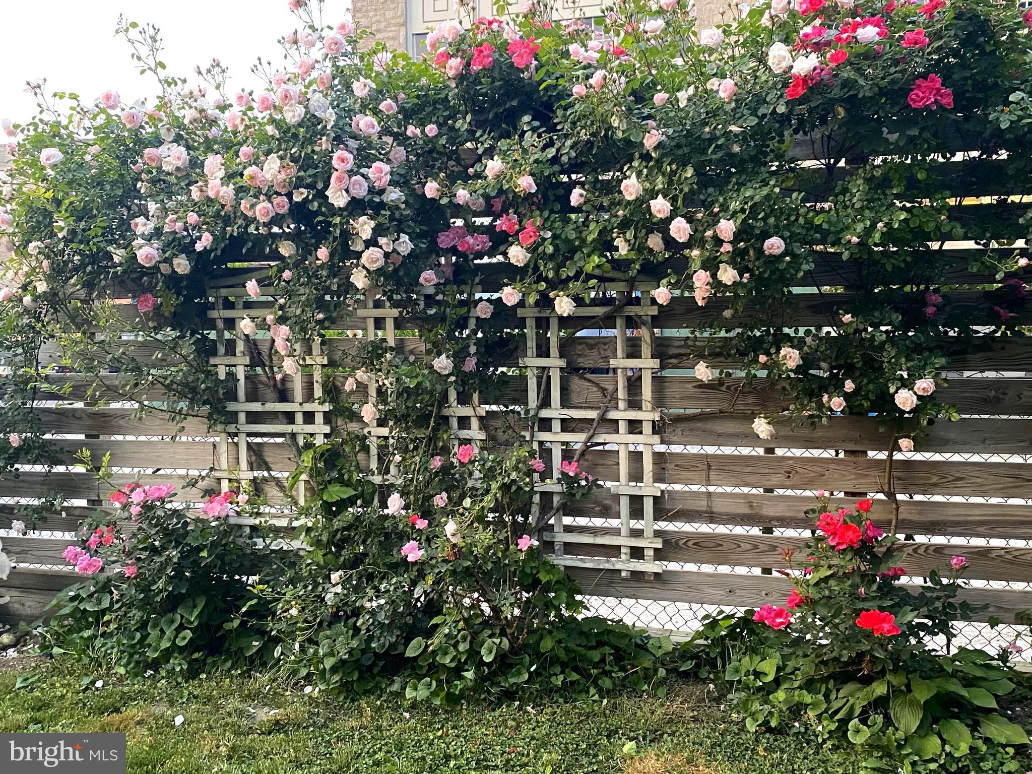 SUMMIT RIDGE - Residential