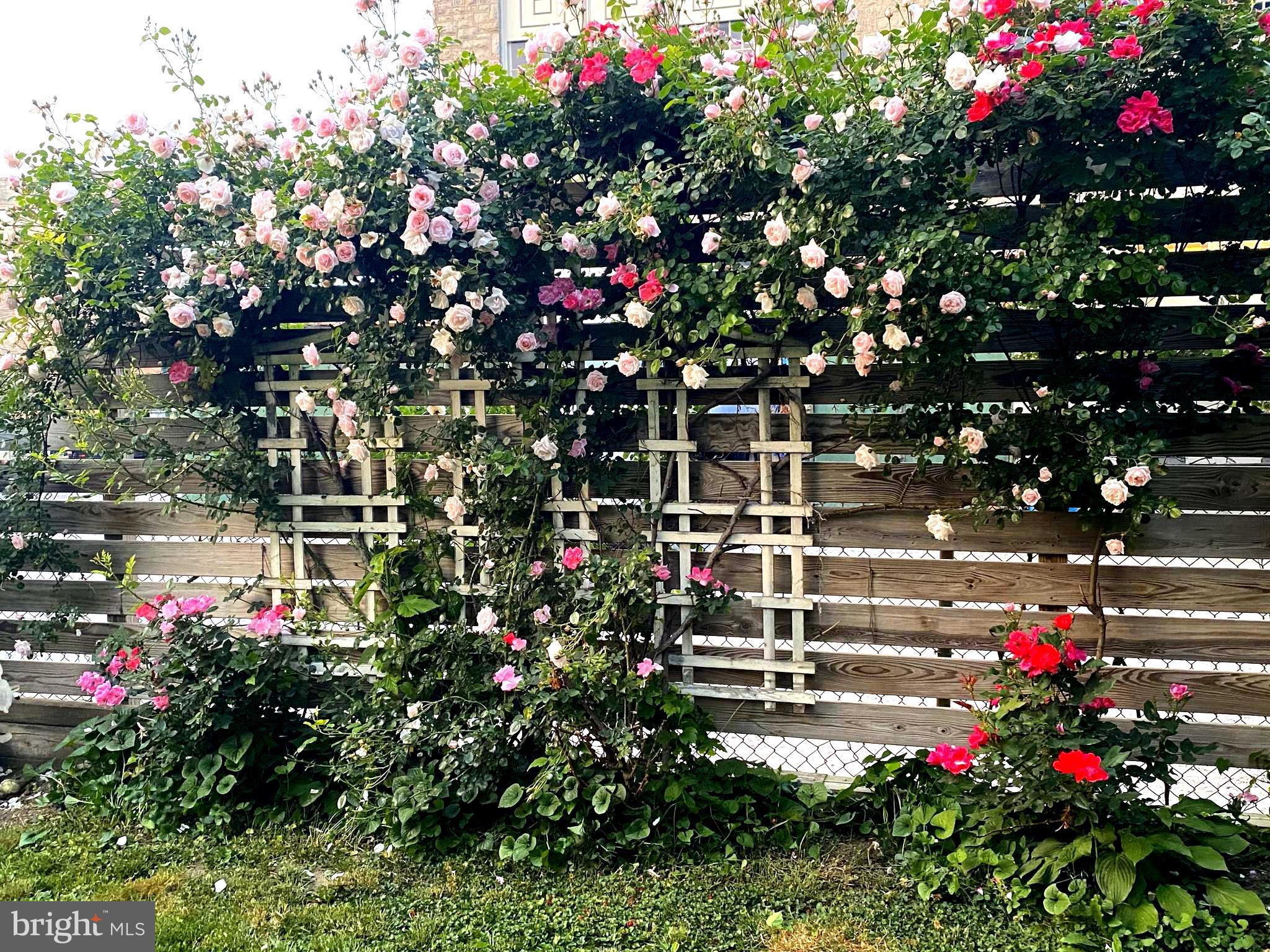 SUMMIT RIDGE - Residential