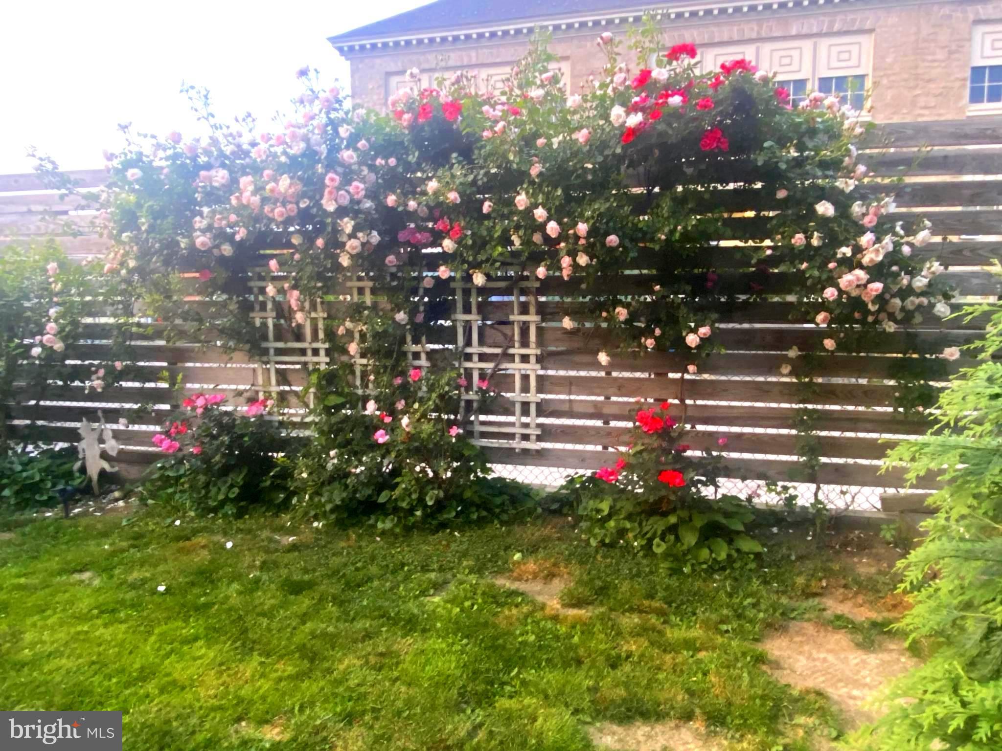 SUMMIT RIDGE - Residential