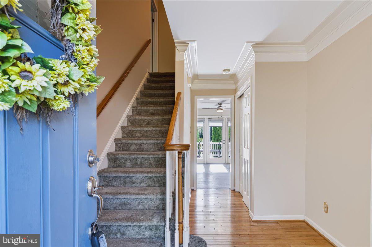 5 WOODHELVEN COURT