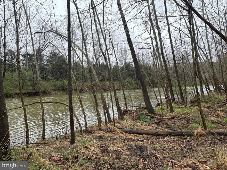 Looking for your Getaway cabin or even fulltime living? Hunting, fishing, and outdoor recreation is your pastime?  Look no further!  It's time for you to wade, hike & enjoy a slower pace of life.

Nestled among the woodlands BORDERING the SOUTH FORK RIVER and Grace Property Hunting Club. (approx 13,000 acres).  The 1 bed, 1 bath with laundry, wood sided, cozy retreat is surrounded by beauty, privacy and tranquility.  Upon 3rd party approval, the purchase of the property would include 1 share in Grace Property Hunting Club.

32+ unrestricted acres to roam & explore as you choose .   Seller reports Whitetail deer and turkey are abundant.

Property is serviced with High Speed Internet.  Head to the mountains, get tucked away and work from paradise.  Spring on the property.

32 acres of WV woodlands with RIVER ACCESS can be yours!  Call today