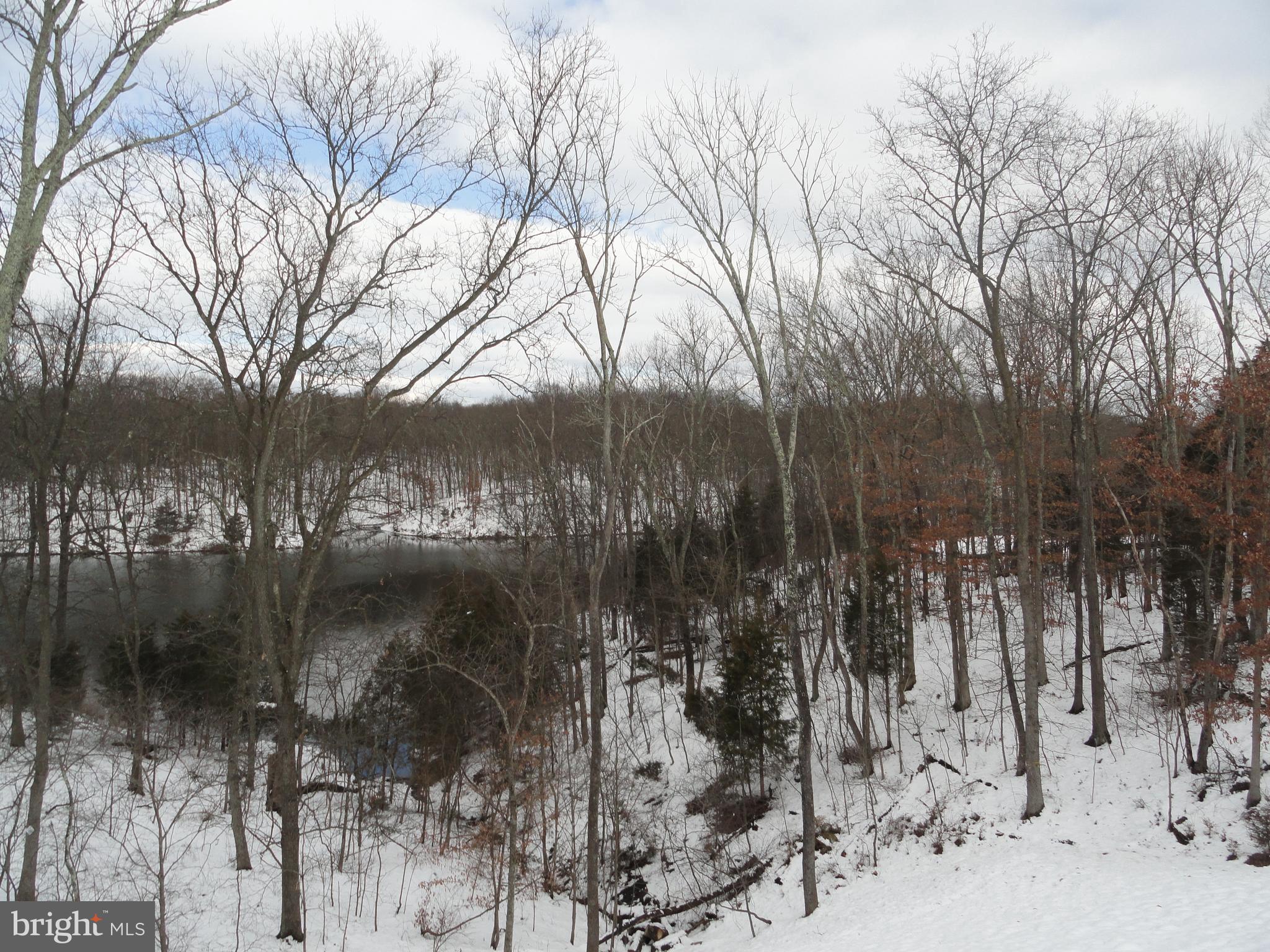 LAKE FREDERICK - Residential