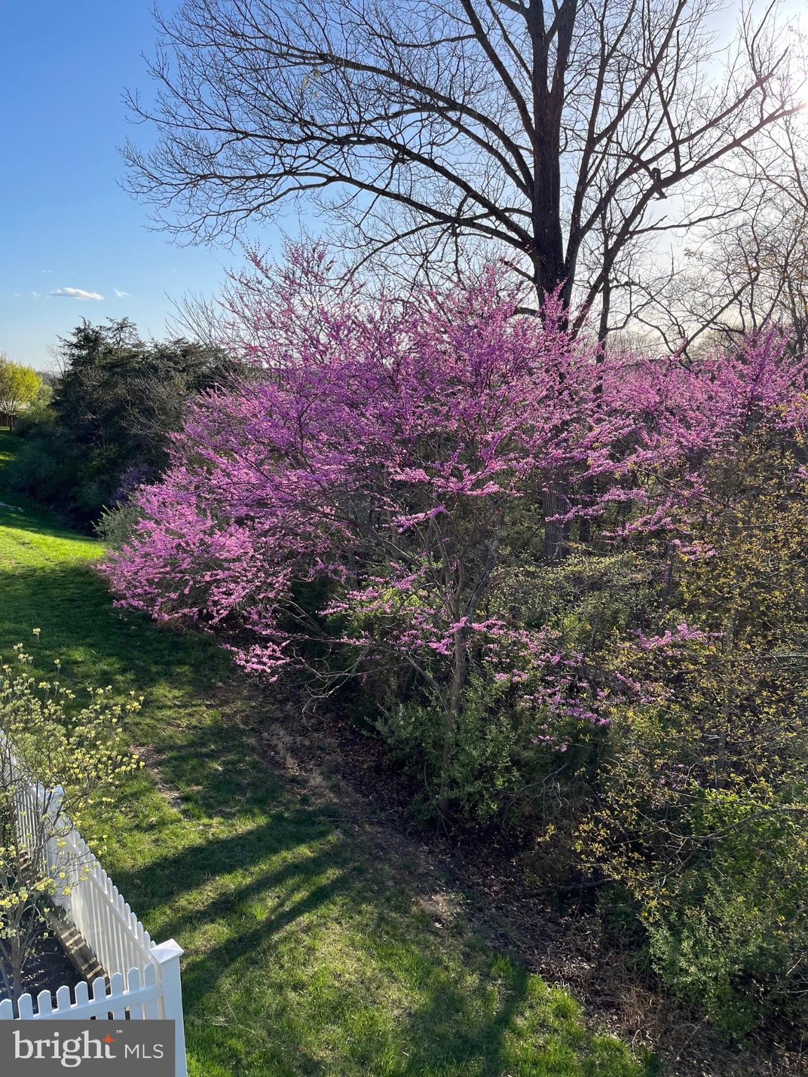 LAKE FREDERICK - Residential