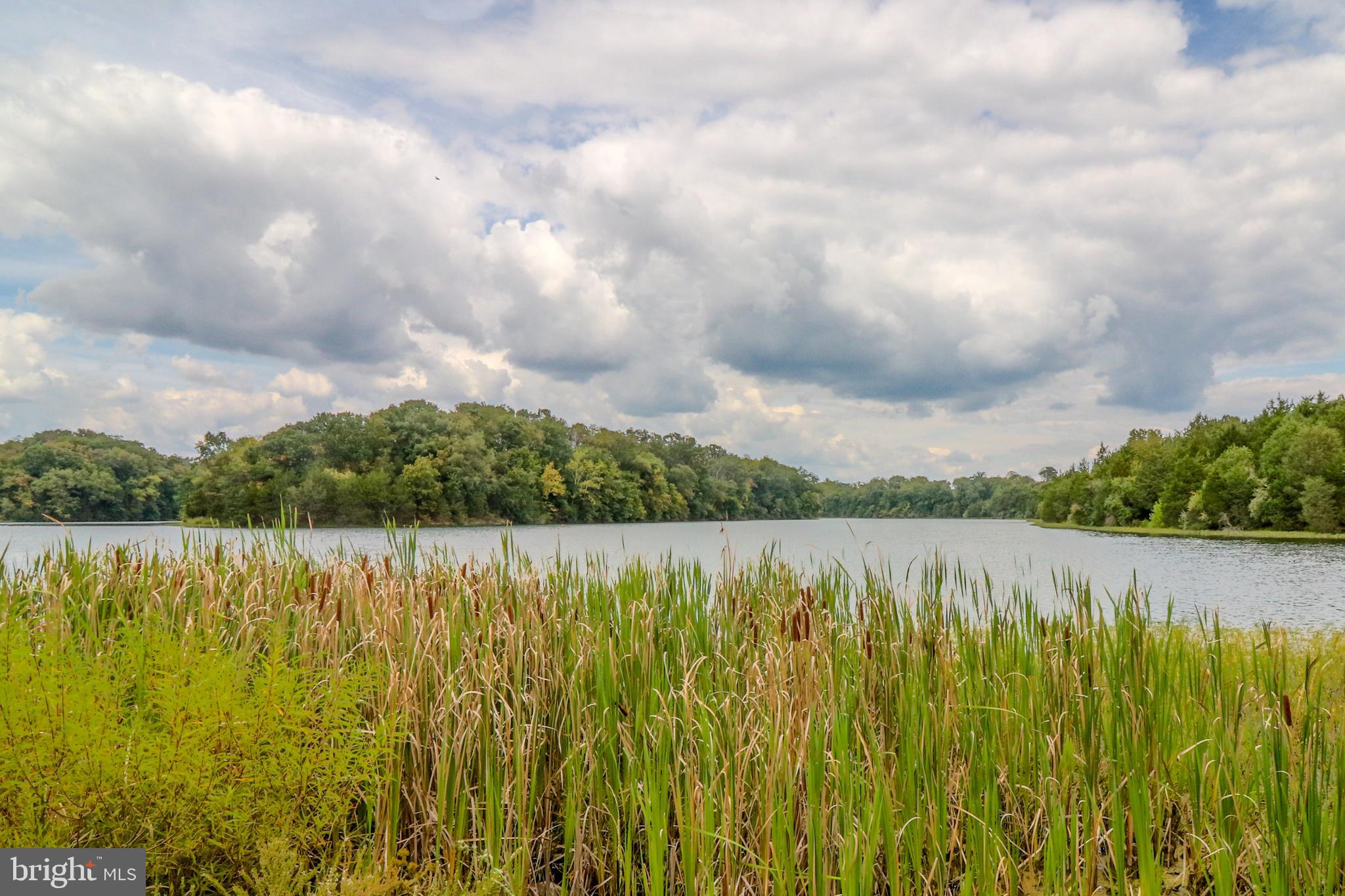 LAKE FREDERICK - Residential