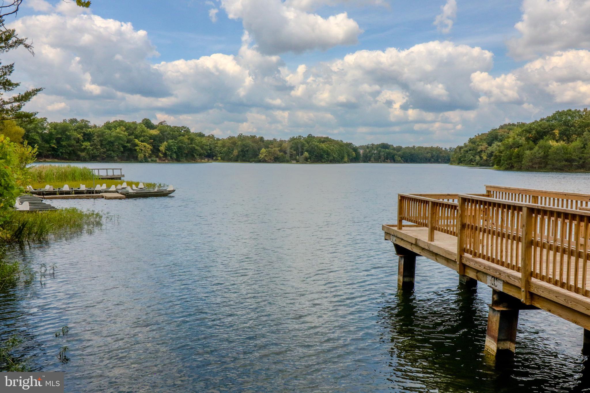 LAKE FREDERICK - Residential