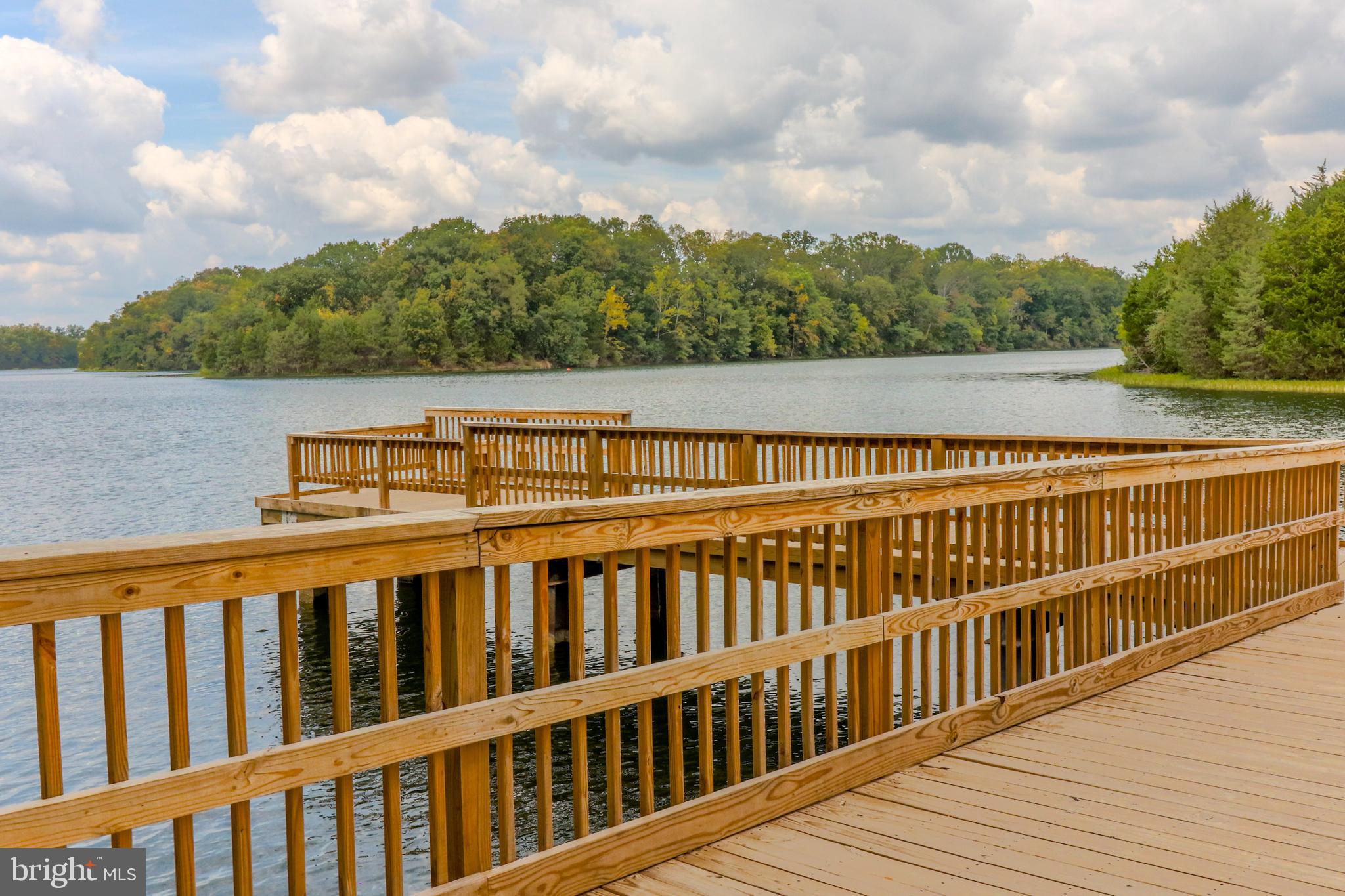 LAKE FREDERICK - Residential
