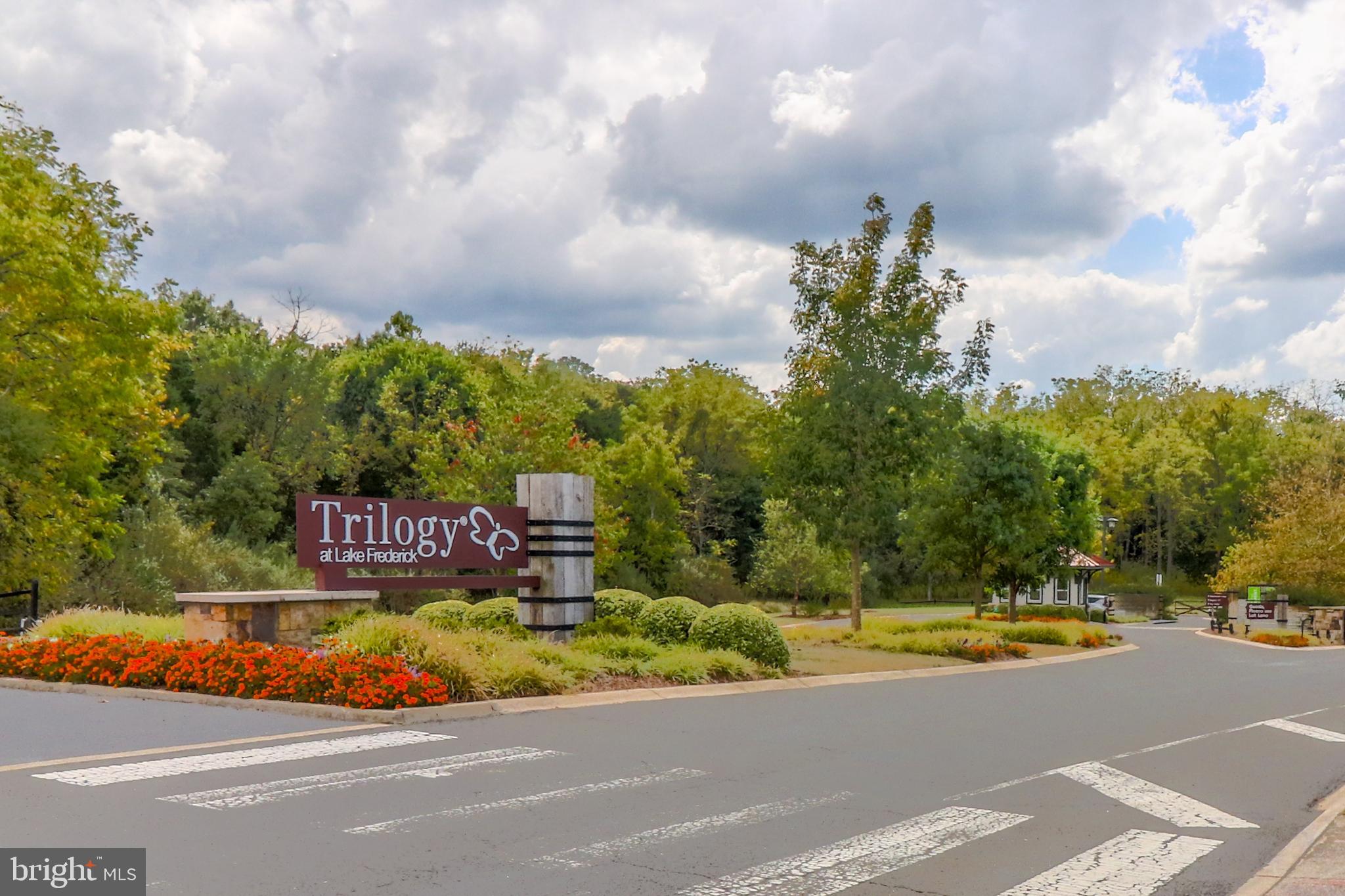 LAKE FREDERICK - Residential