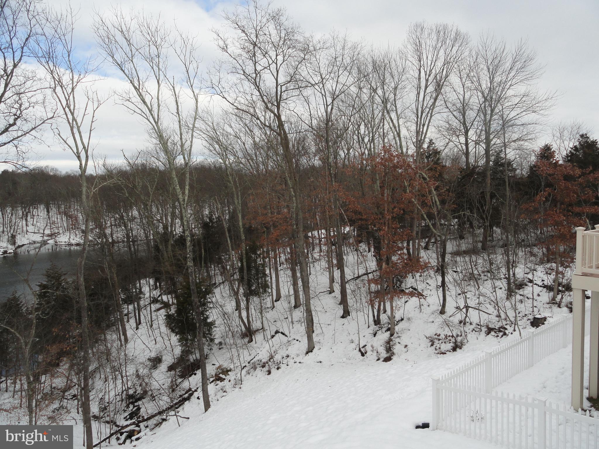 LAKE FREDERICK - Residential