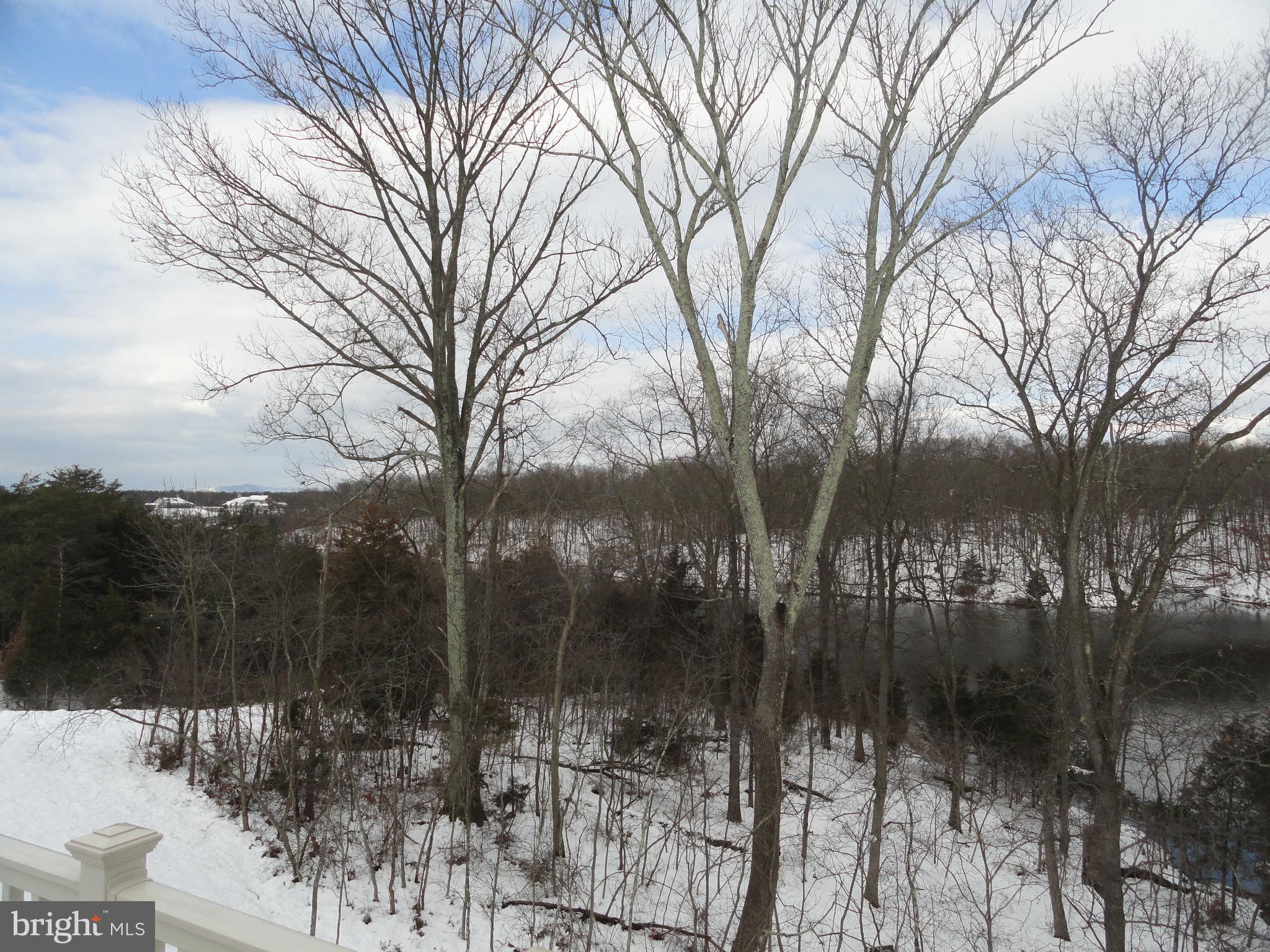 LAKE FREDERICK - Residential