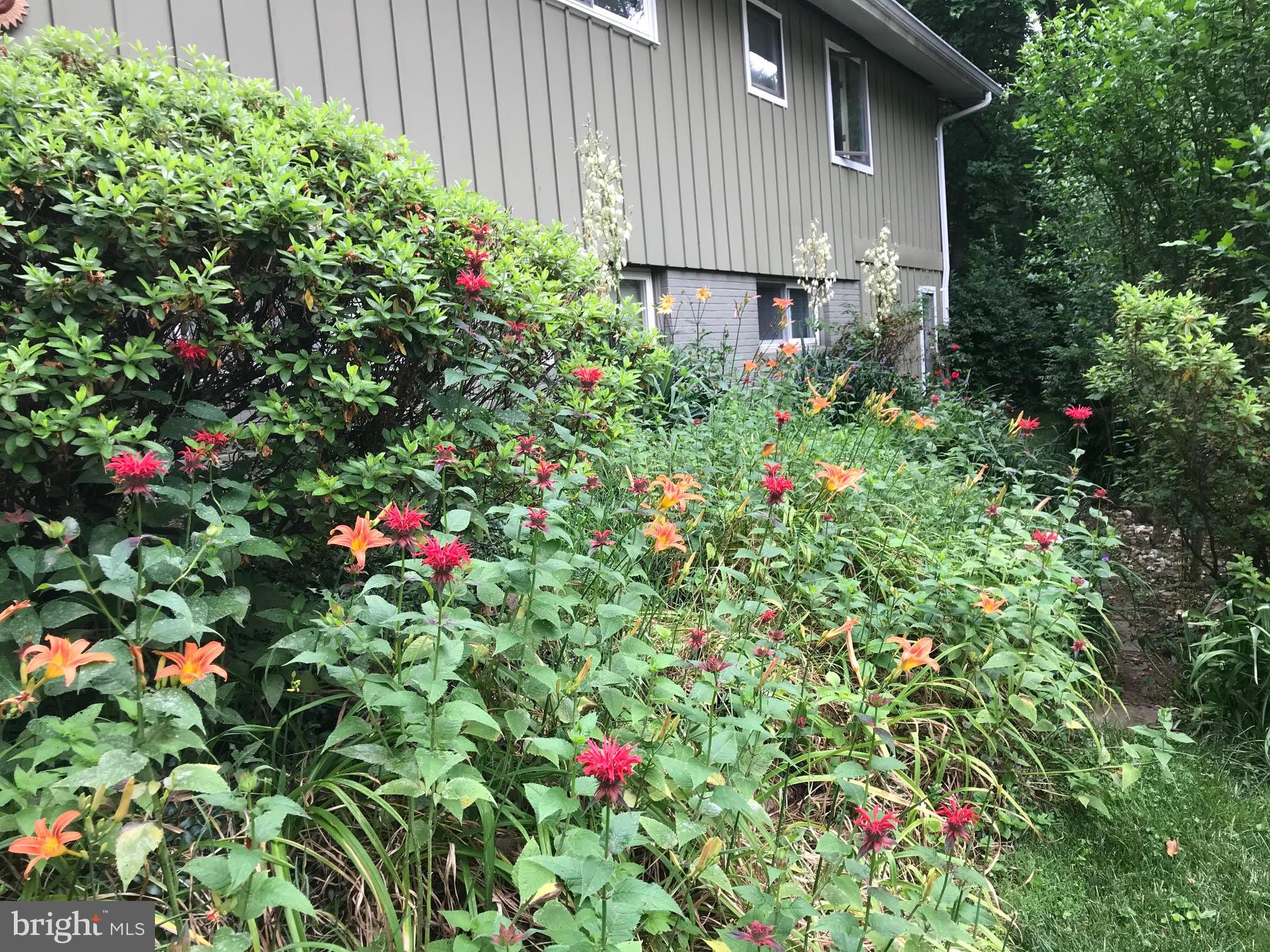 BRADLEY PARK - Residential