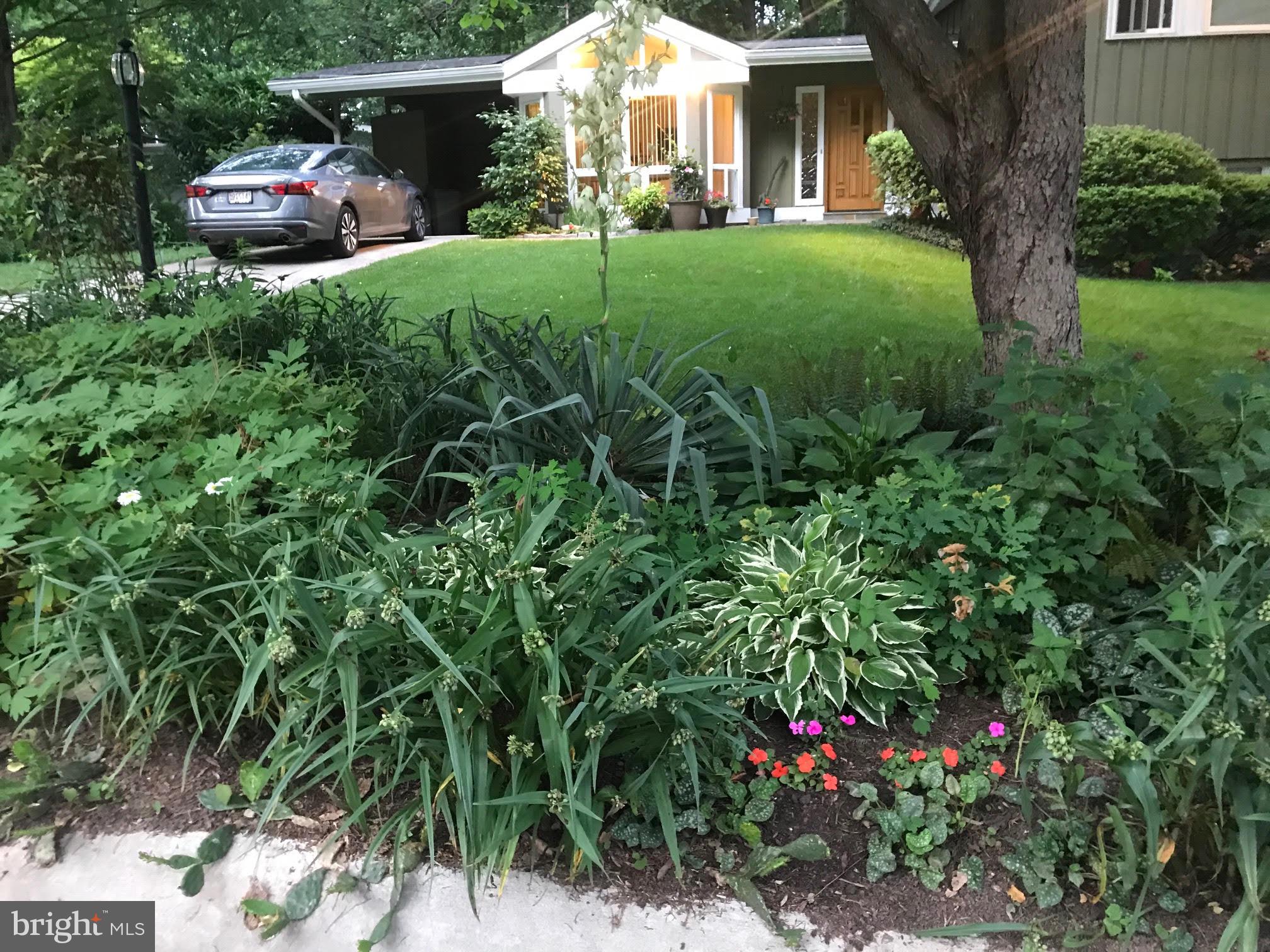 BRADLEY PARK - Residential