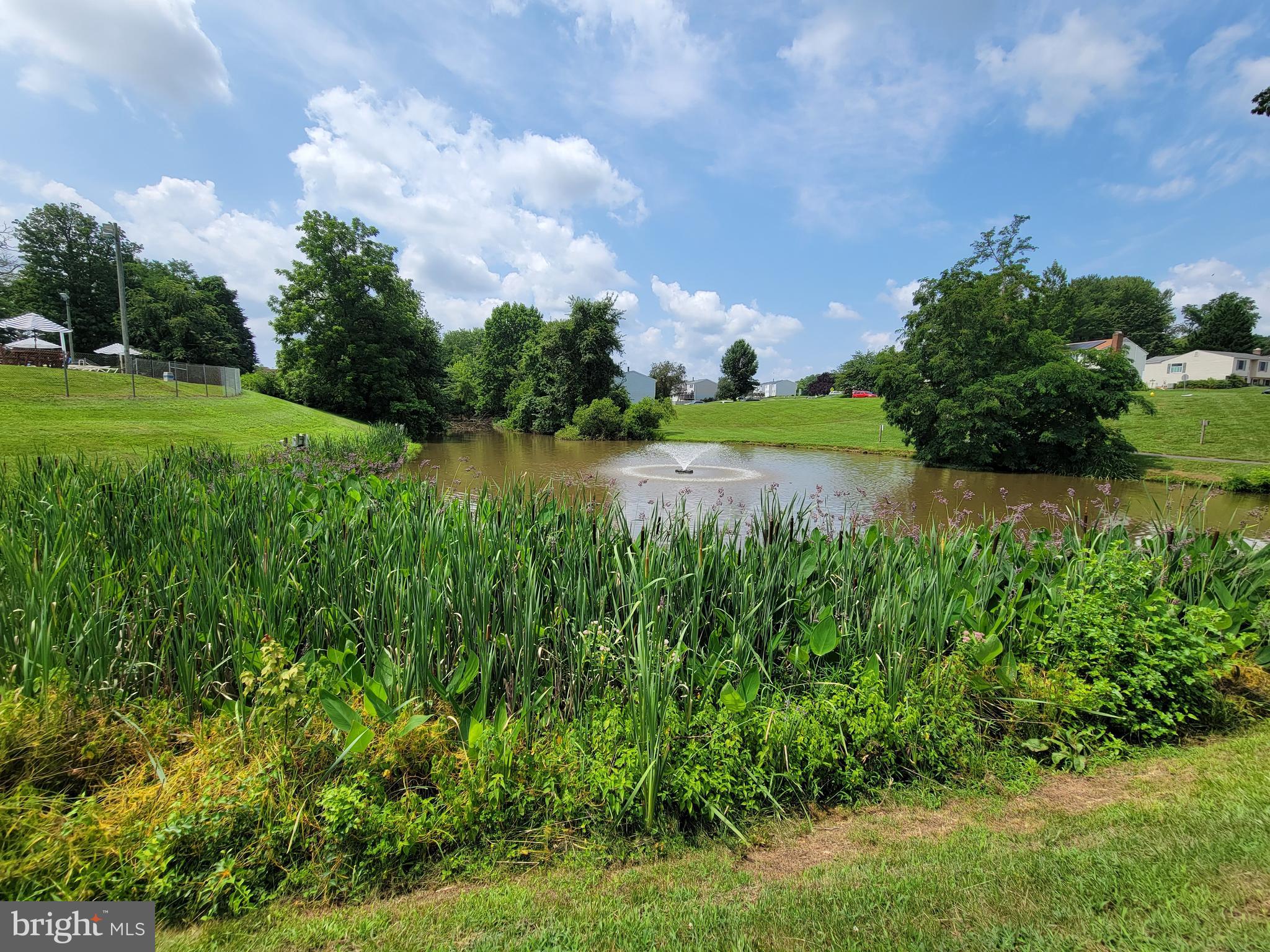 BOX HILL NORTH - Residential