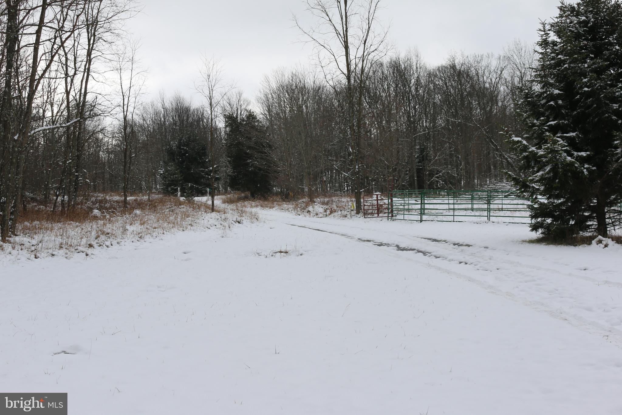 SUGAR GROVE FARM - Farm