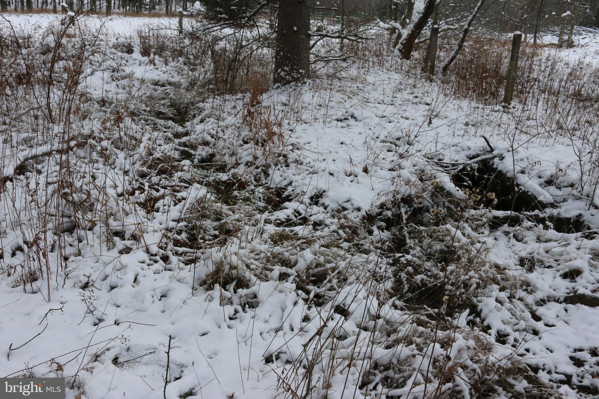 SUGAR GROVE FARM - Farm