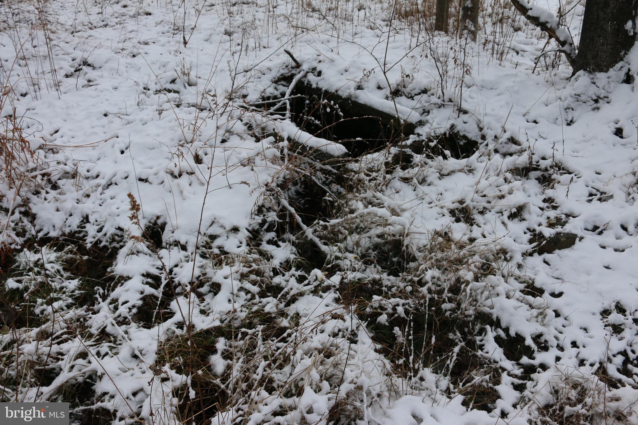 SUGAR GROVE FARM - Farm