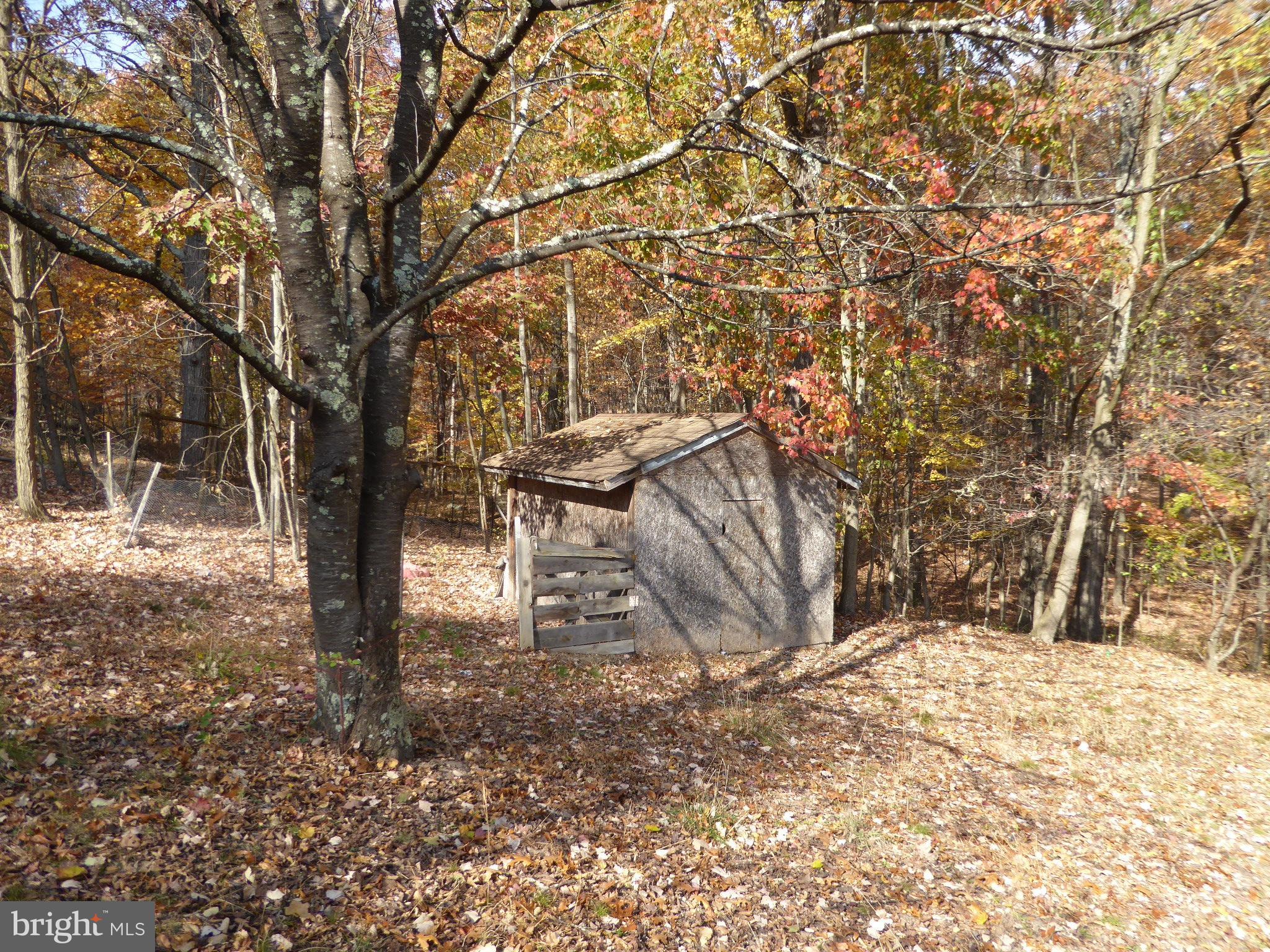 PIN OAK - Residential