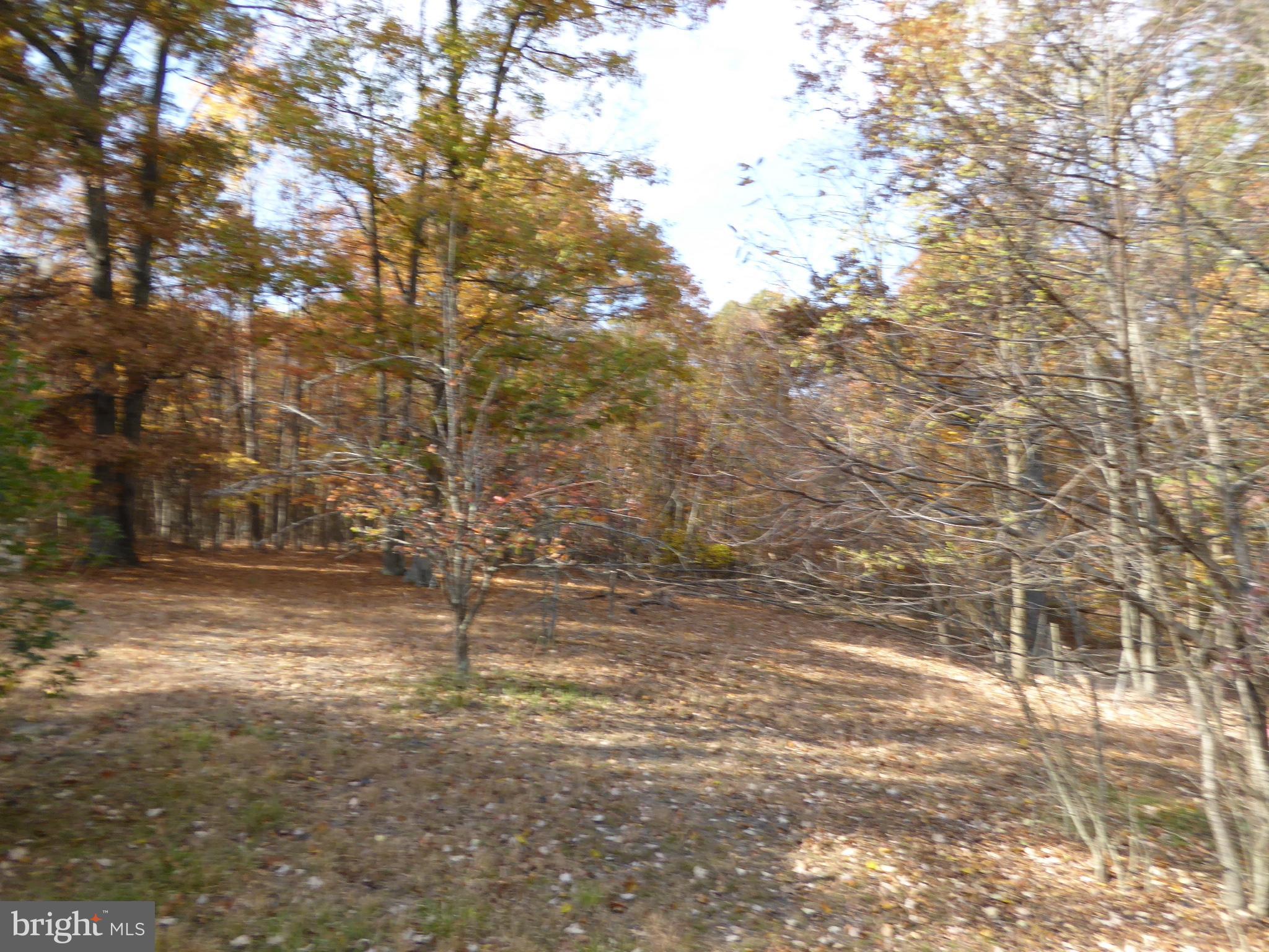 PIN OAK - Residential