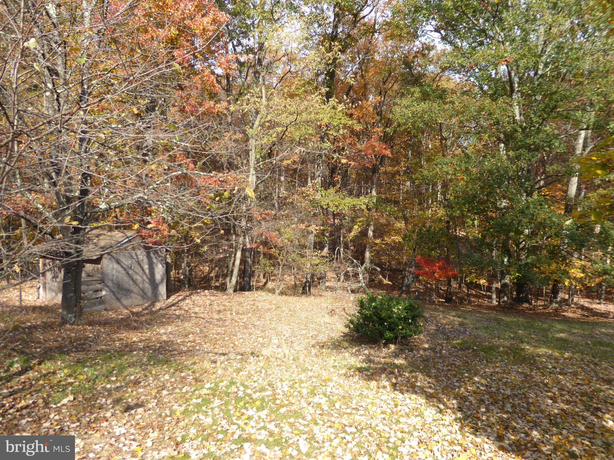 PIN OAK - Residential