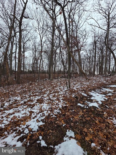 Vacant Land For Sale - Huttle<br/> MIDDLETOWN, VA 22645