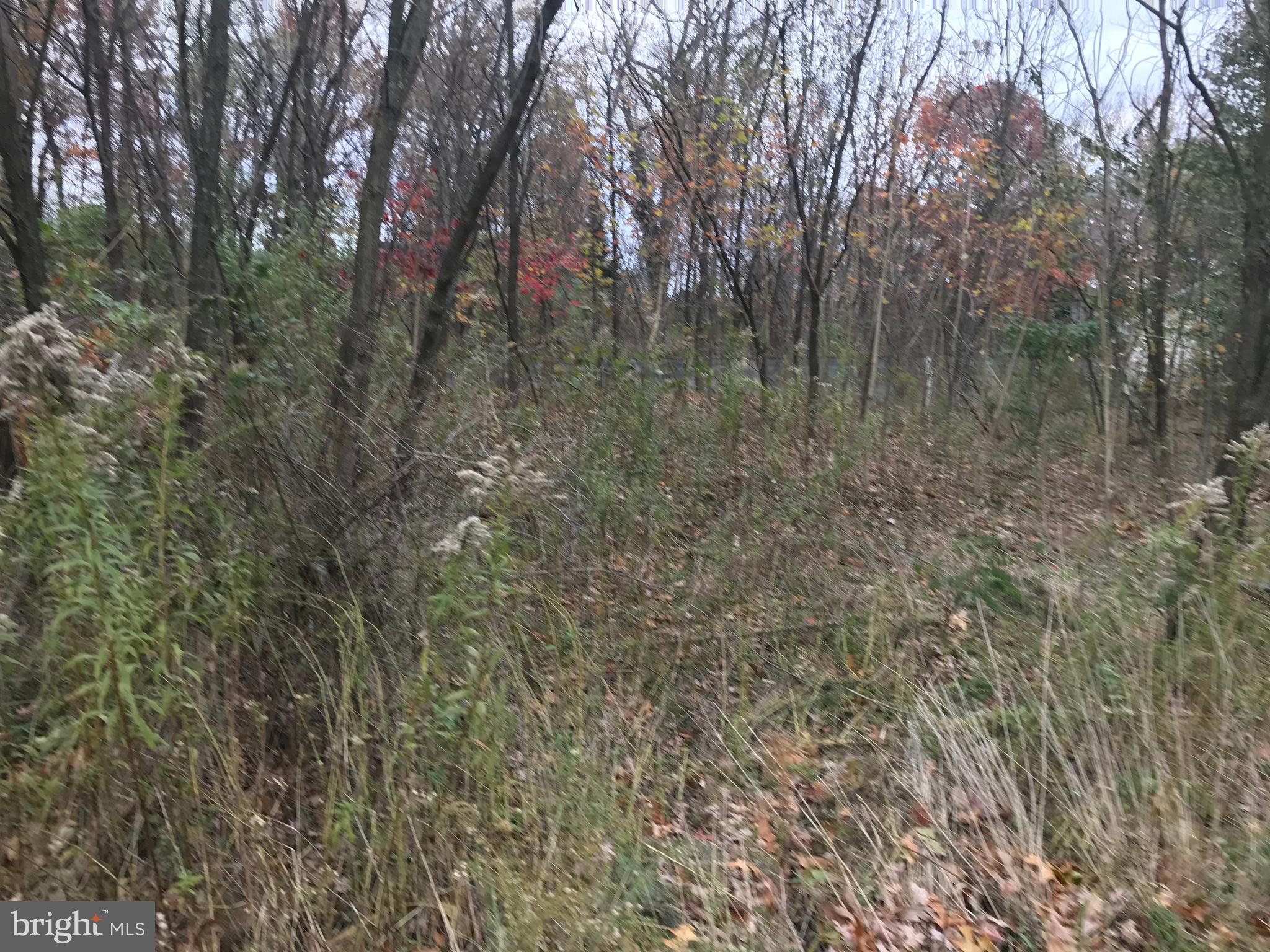 11813 ILLINOIS AVENUE